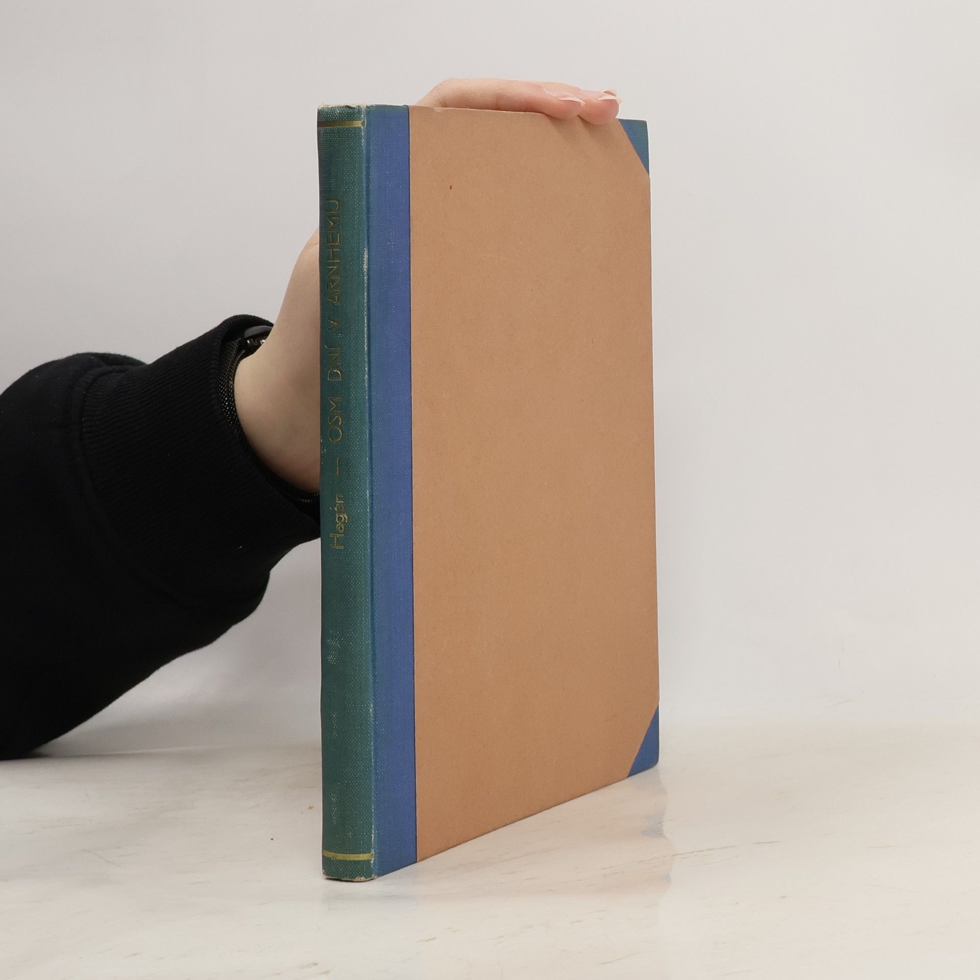 Louis Edmund Hagen Osm dní v Arnhemu: Deník pilota kluzáku