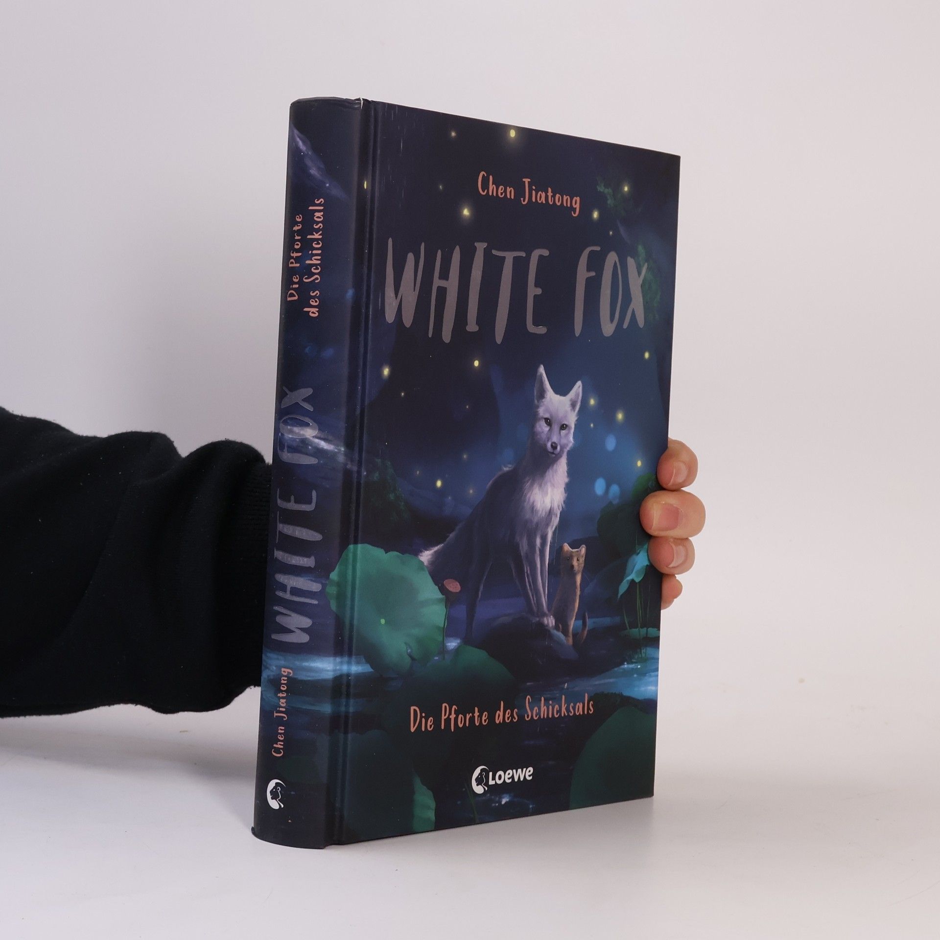 Jiatong Chen Die Pforte des Schicksals