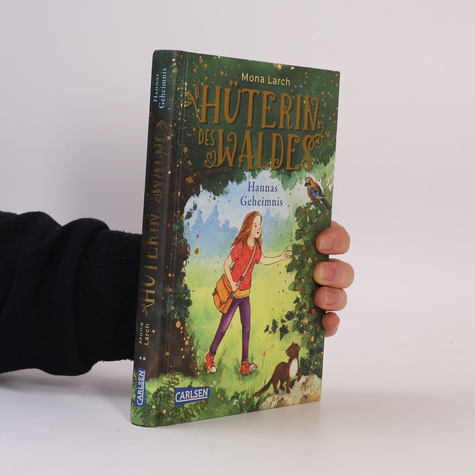 Mona Larch Hüterin des Waldes 1: Hannas Geheimnis
