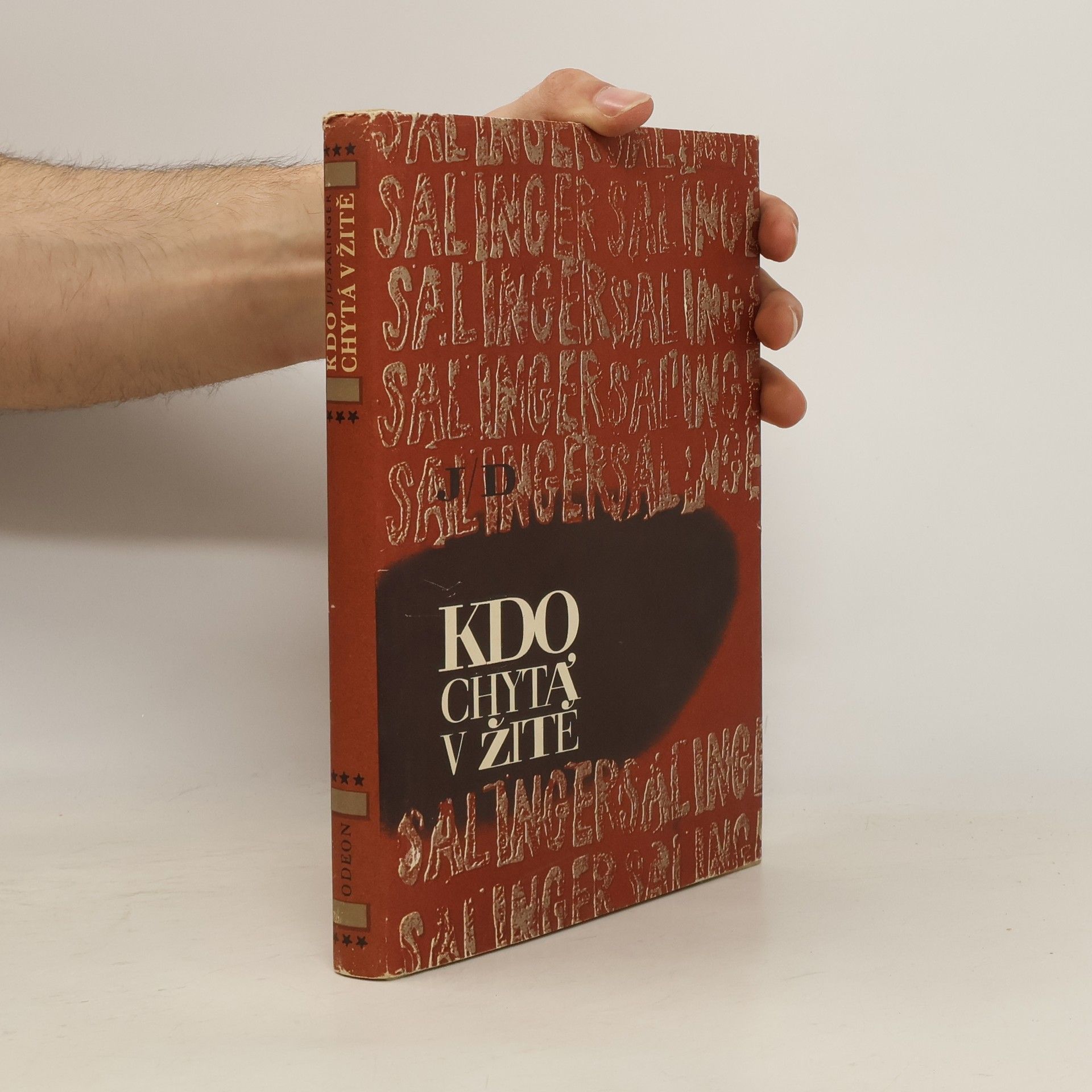 Jerome David Salinger Kdo chytá v žitě