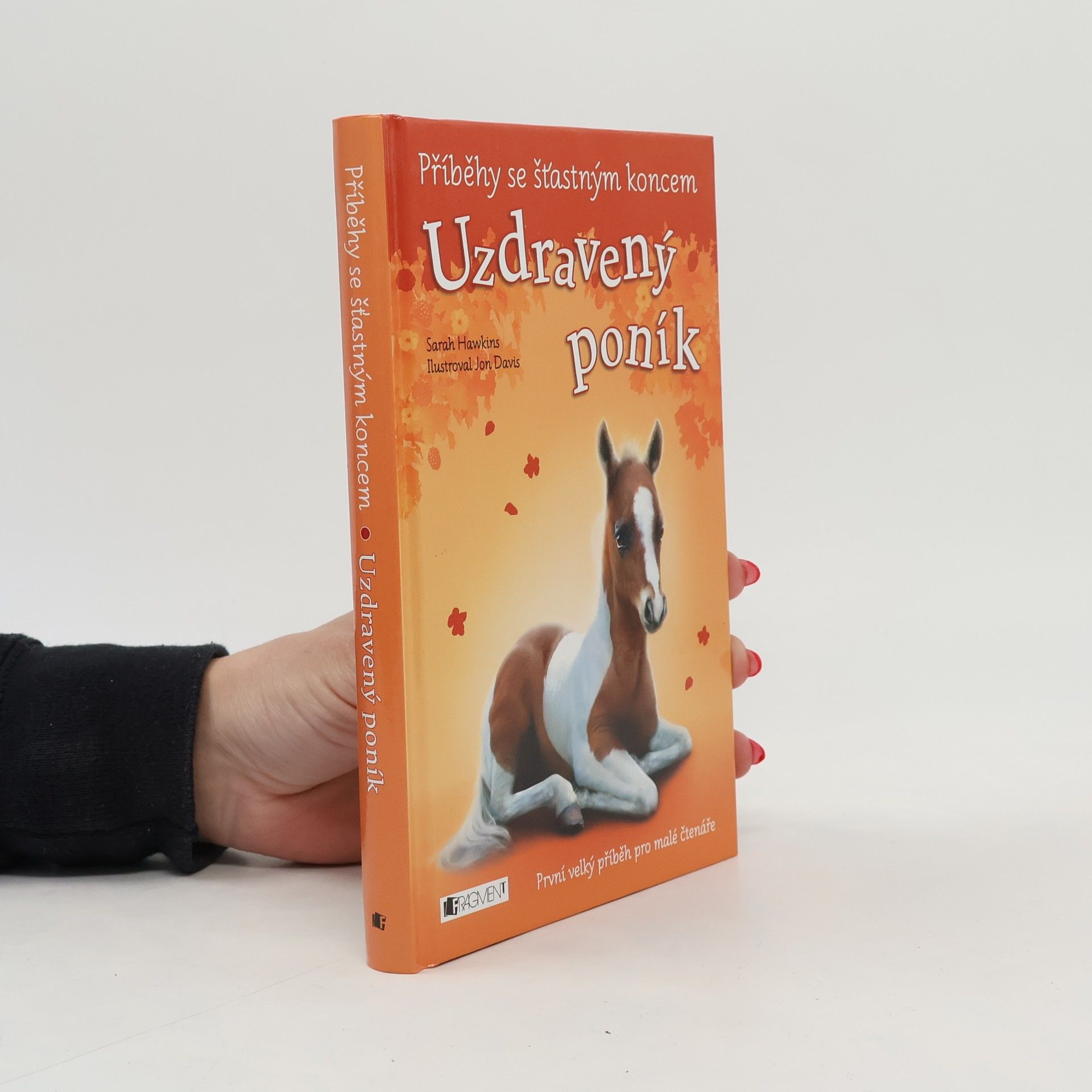 Eva Brožová Uzdravený poník