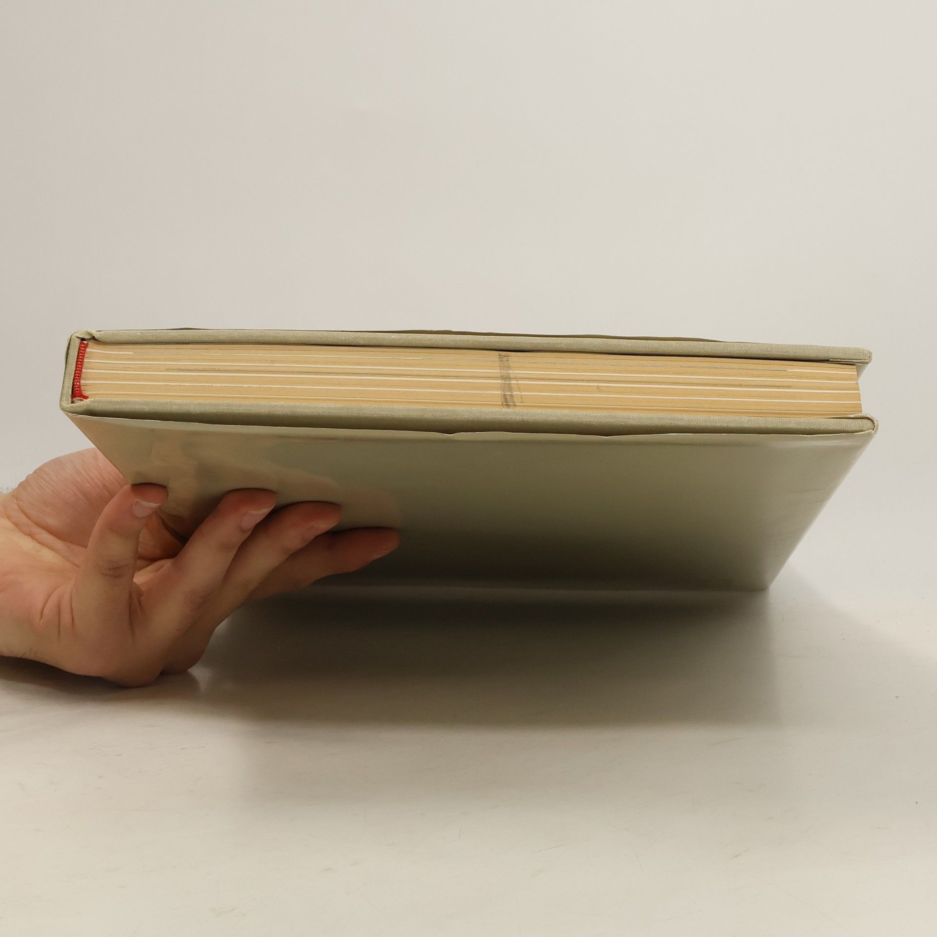 Various authors Hrady, zámky a tvrze v Čechách, na Moravě a ve Slezsku II. Severní Morava