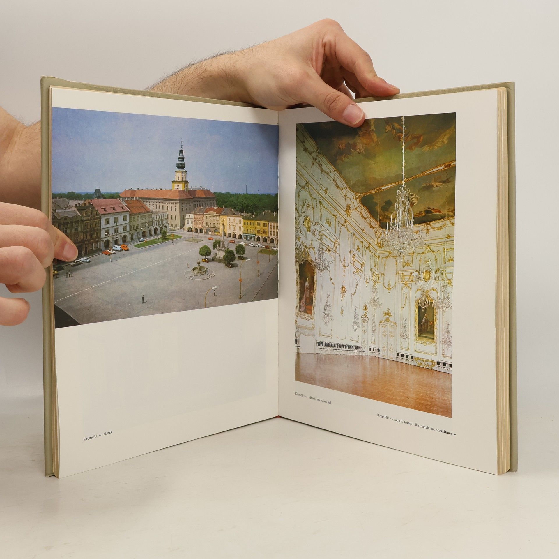 Various authors Hrady, zámky a tvrze v Čechách, na Moravě a ve Slezsku II. Severní Morava
