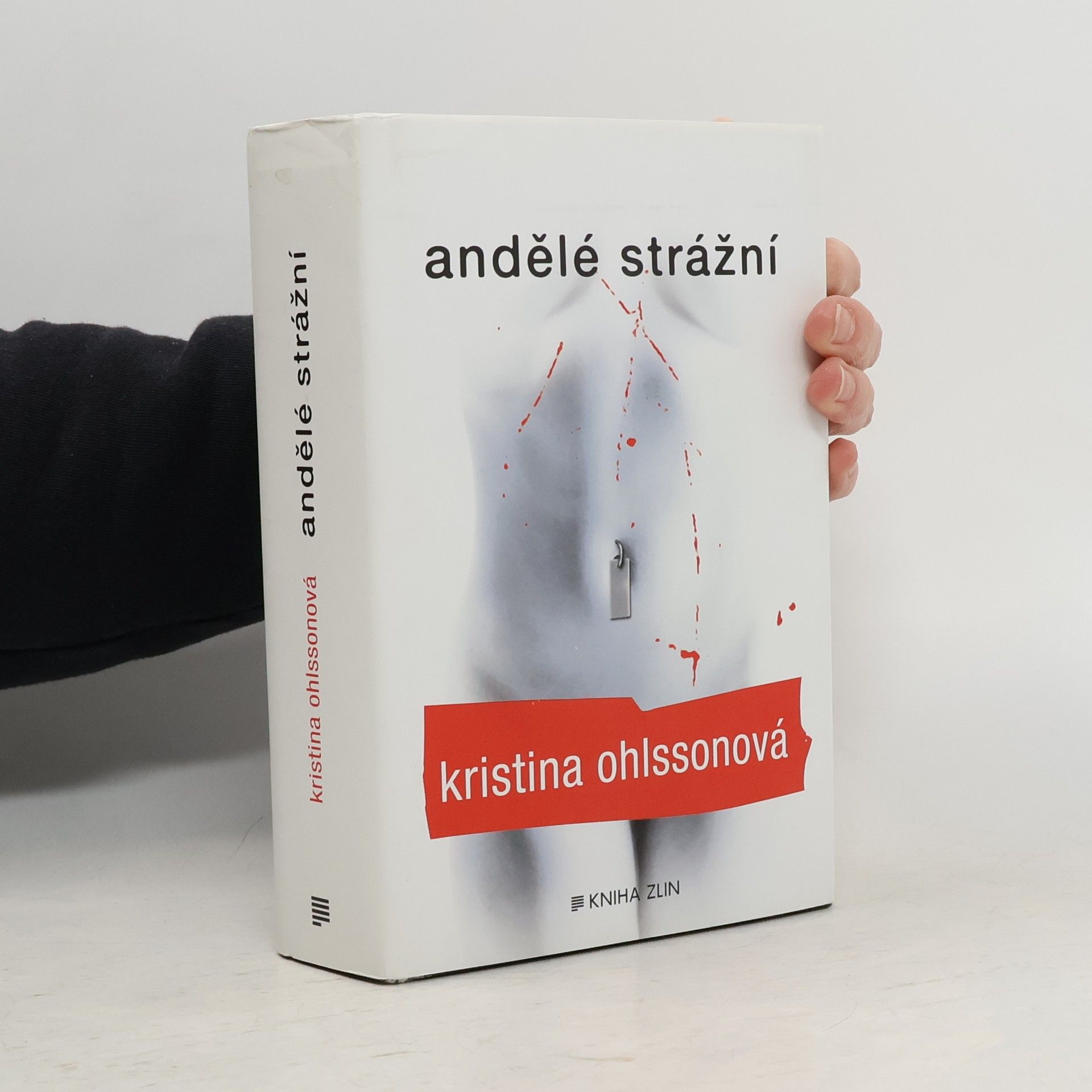 Kristina Ohlsson Andělé strážní