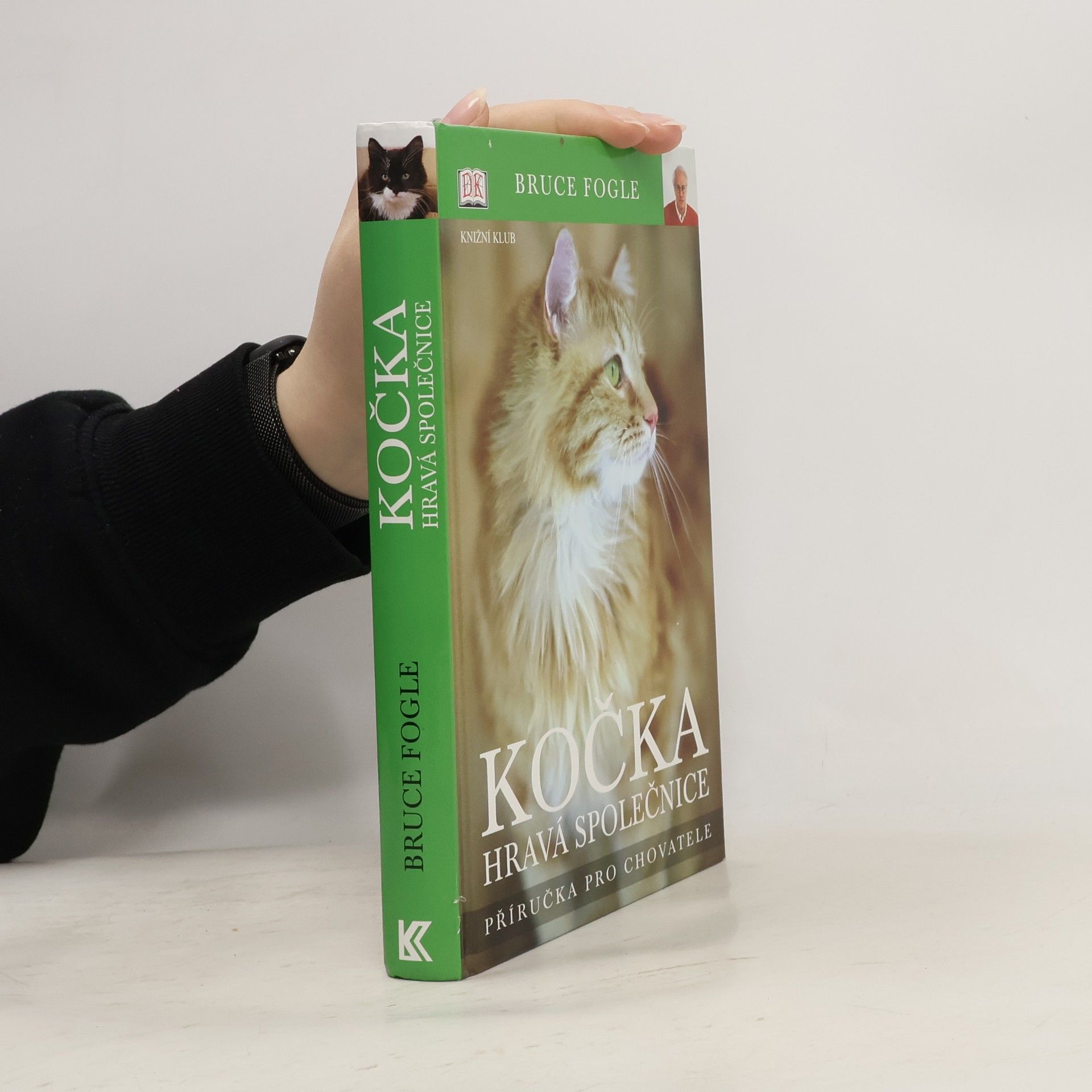 Bruce Folge Kočka. Hravá společnice.