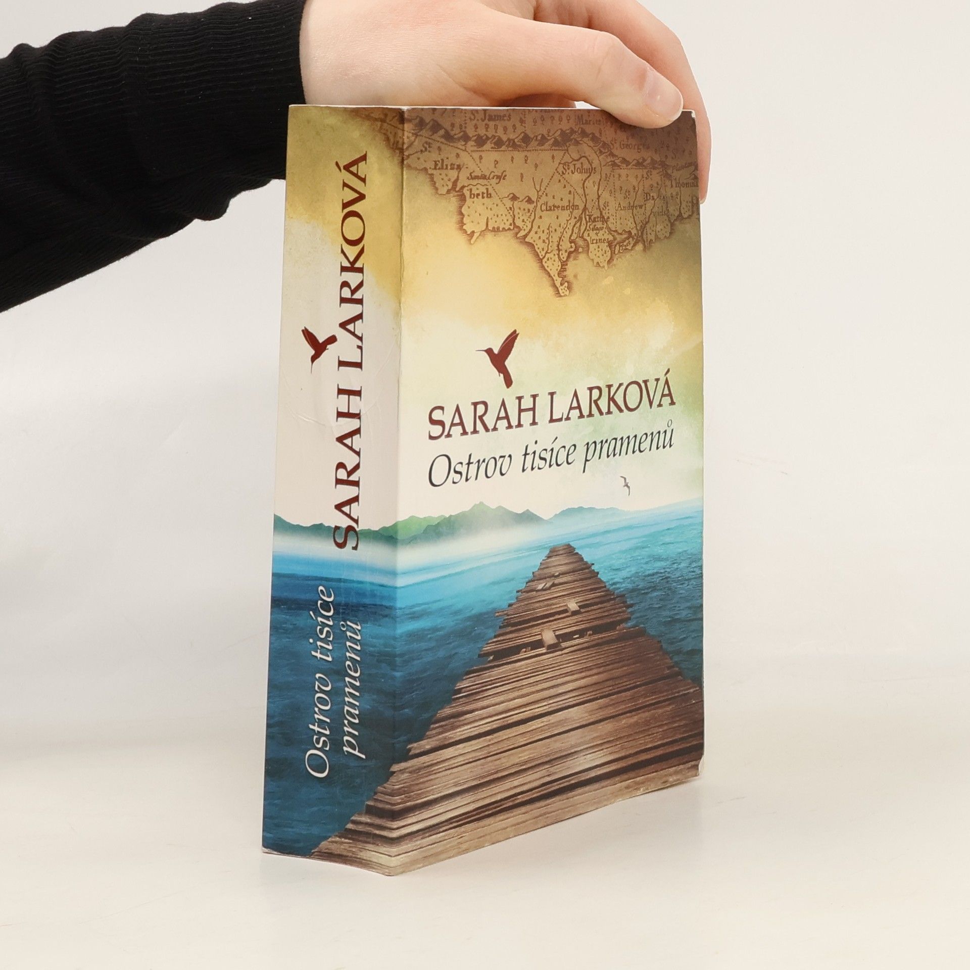 Christiane Gohl Ostrov tisíce pramenů