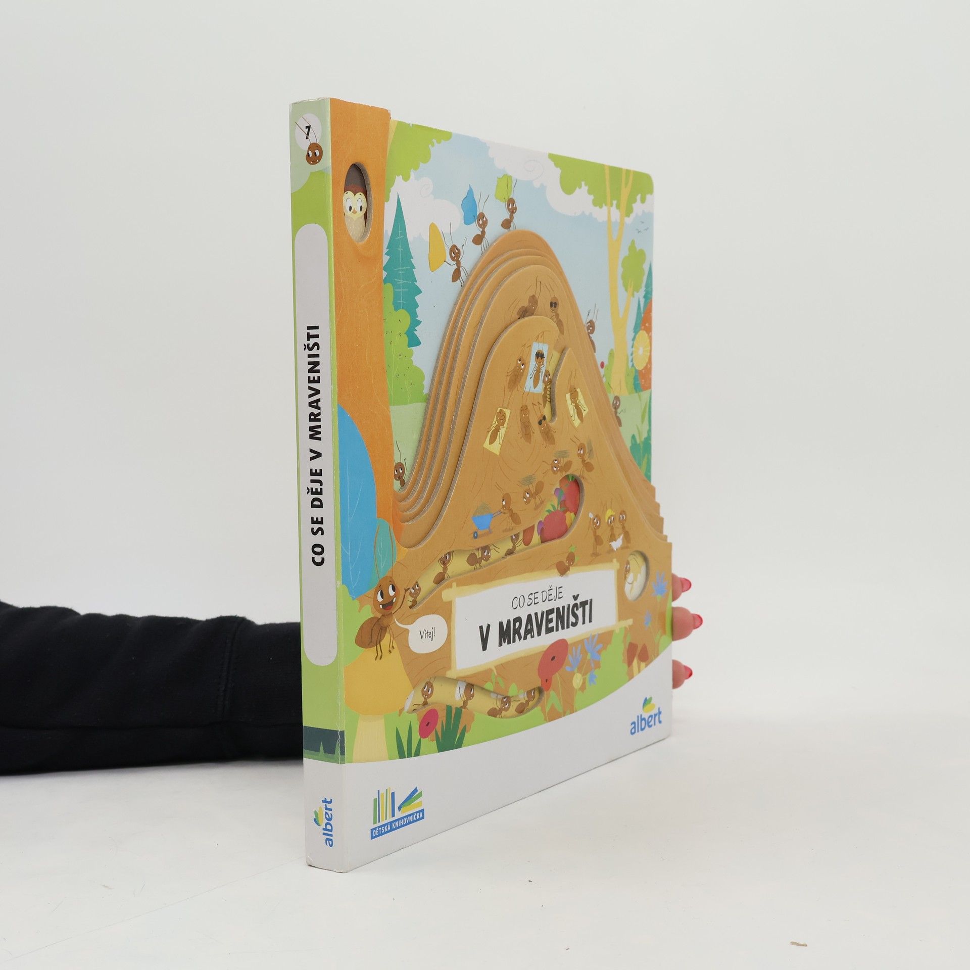 Collectif d'auteurs Co se děje v mraveništi