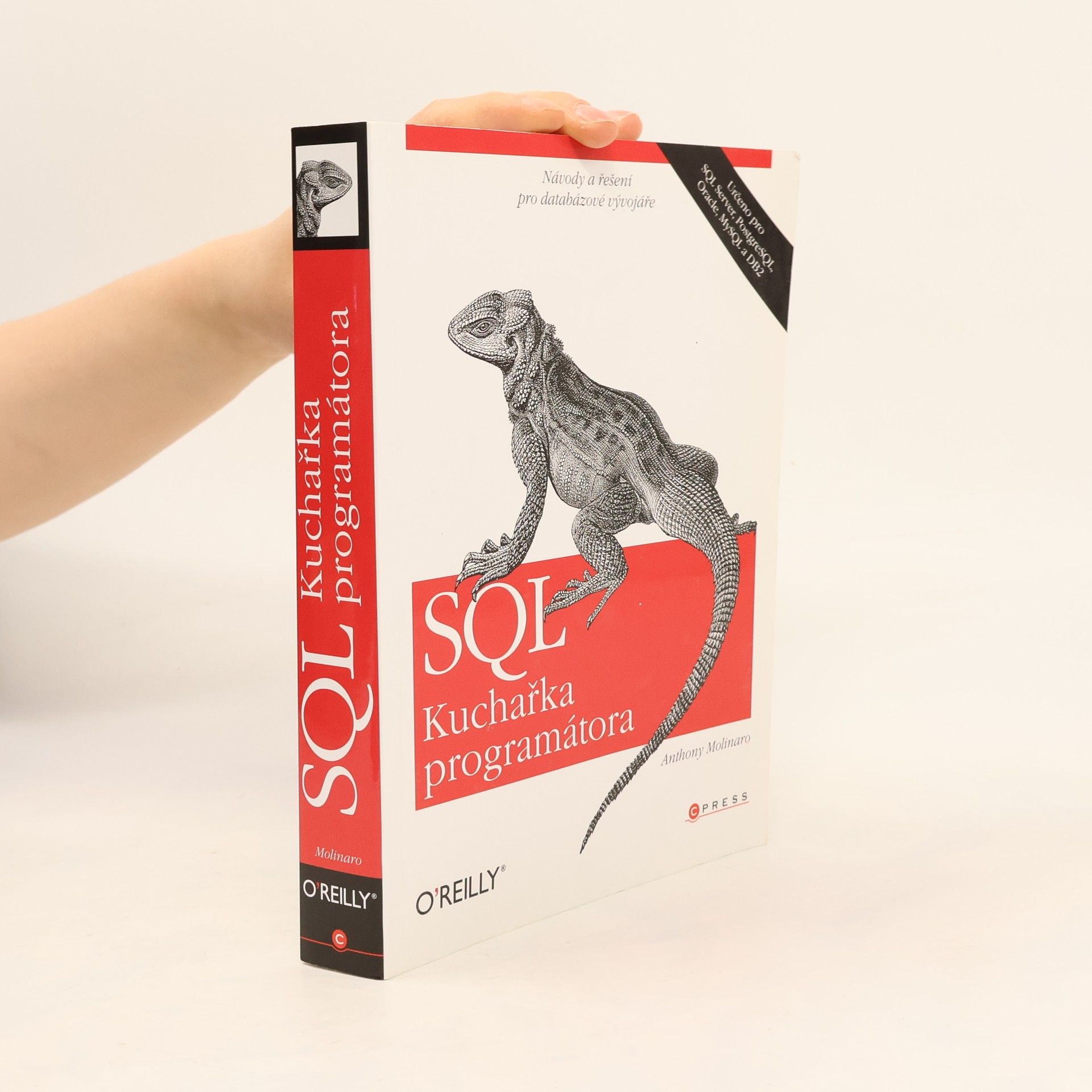 Anthony Molinaro SQL. Kuchařka programátora