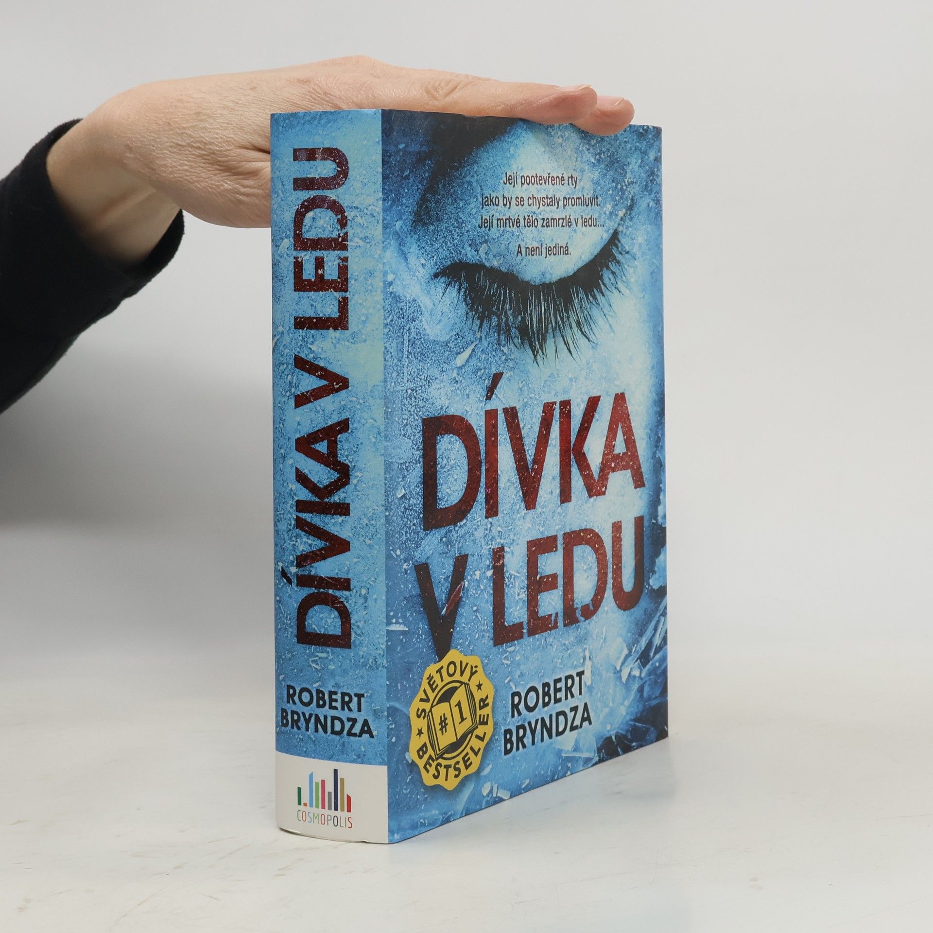 Dívka v ledu