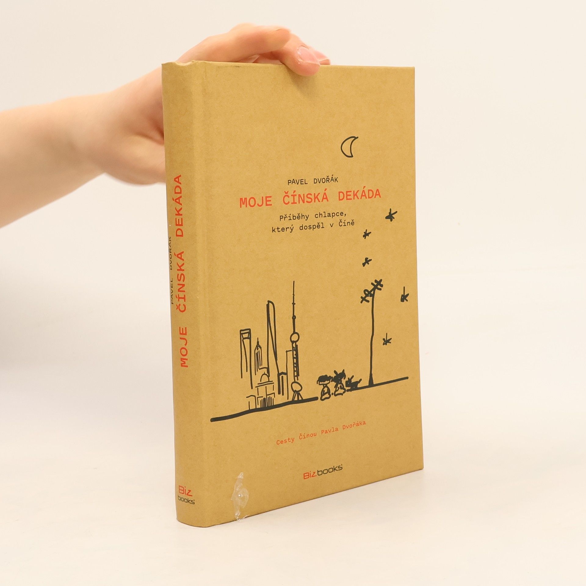 Pavel Dvořák Moje čínská dekáda