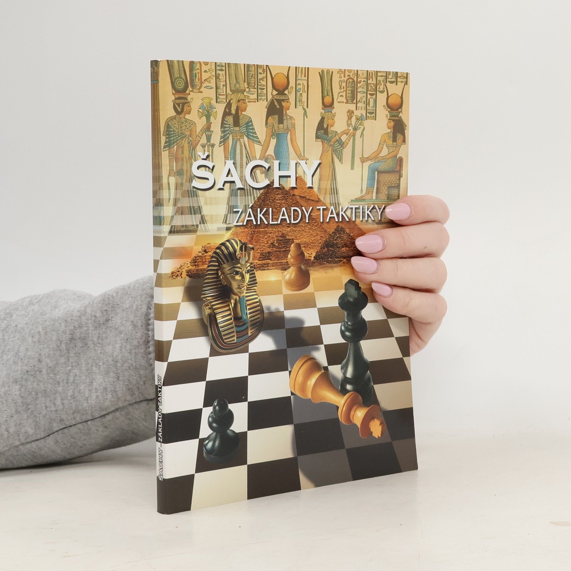 Richard Biolek Šachy - Základy taktiky