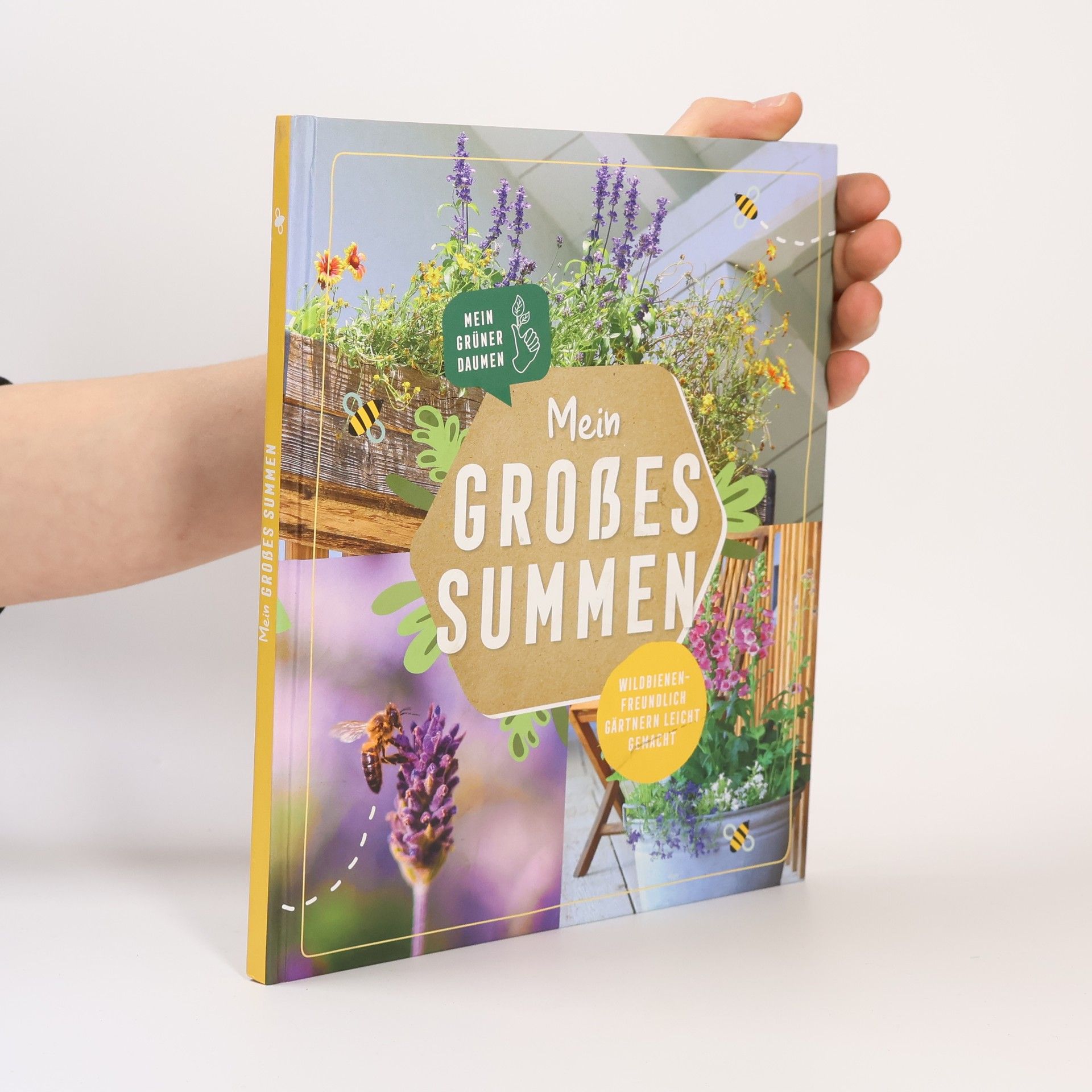 kolektiv Mein grosses Summen