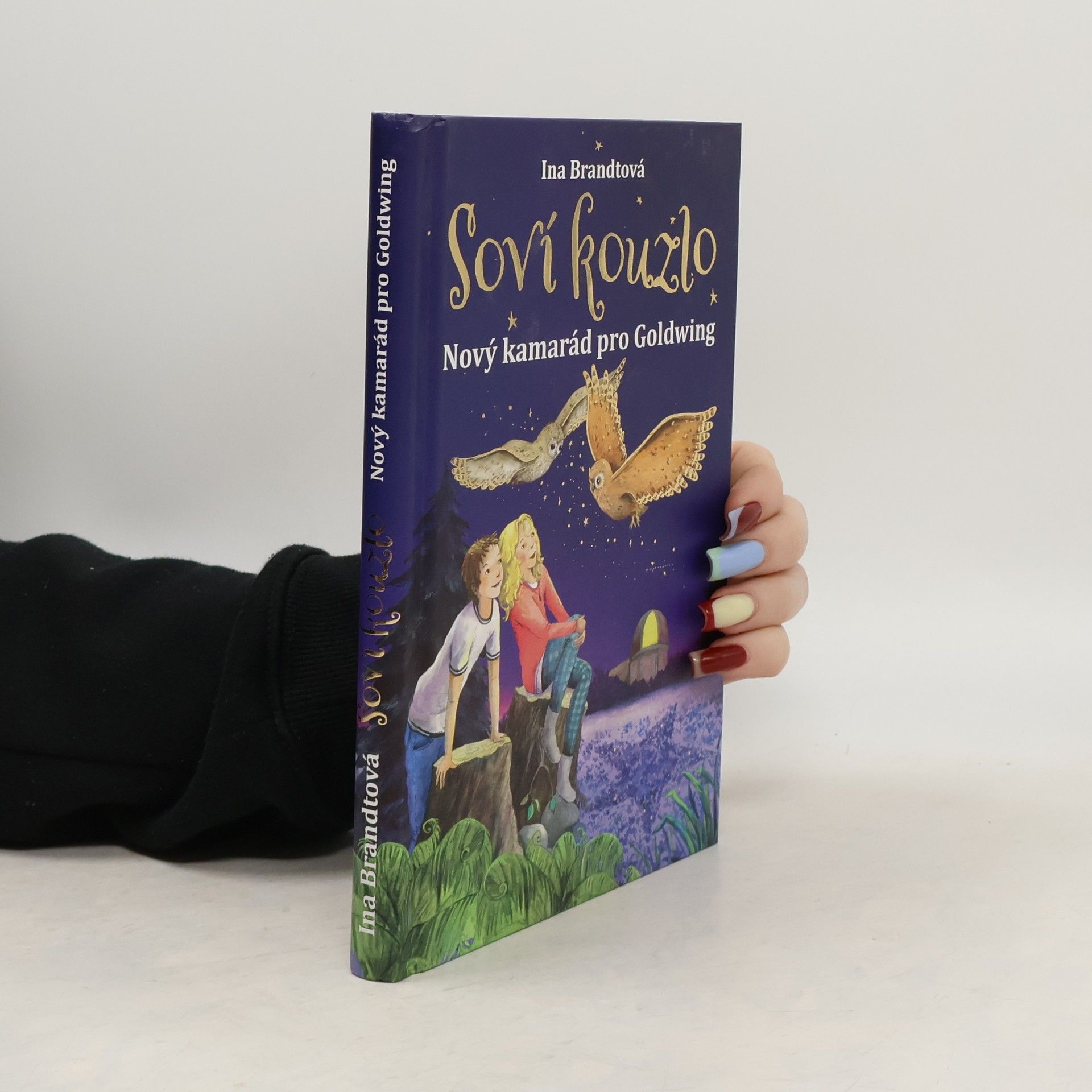 Irene Mohr Soví kouzlo. Nový kamarád pro Goldwing