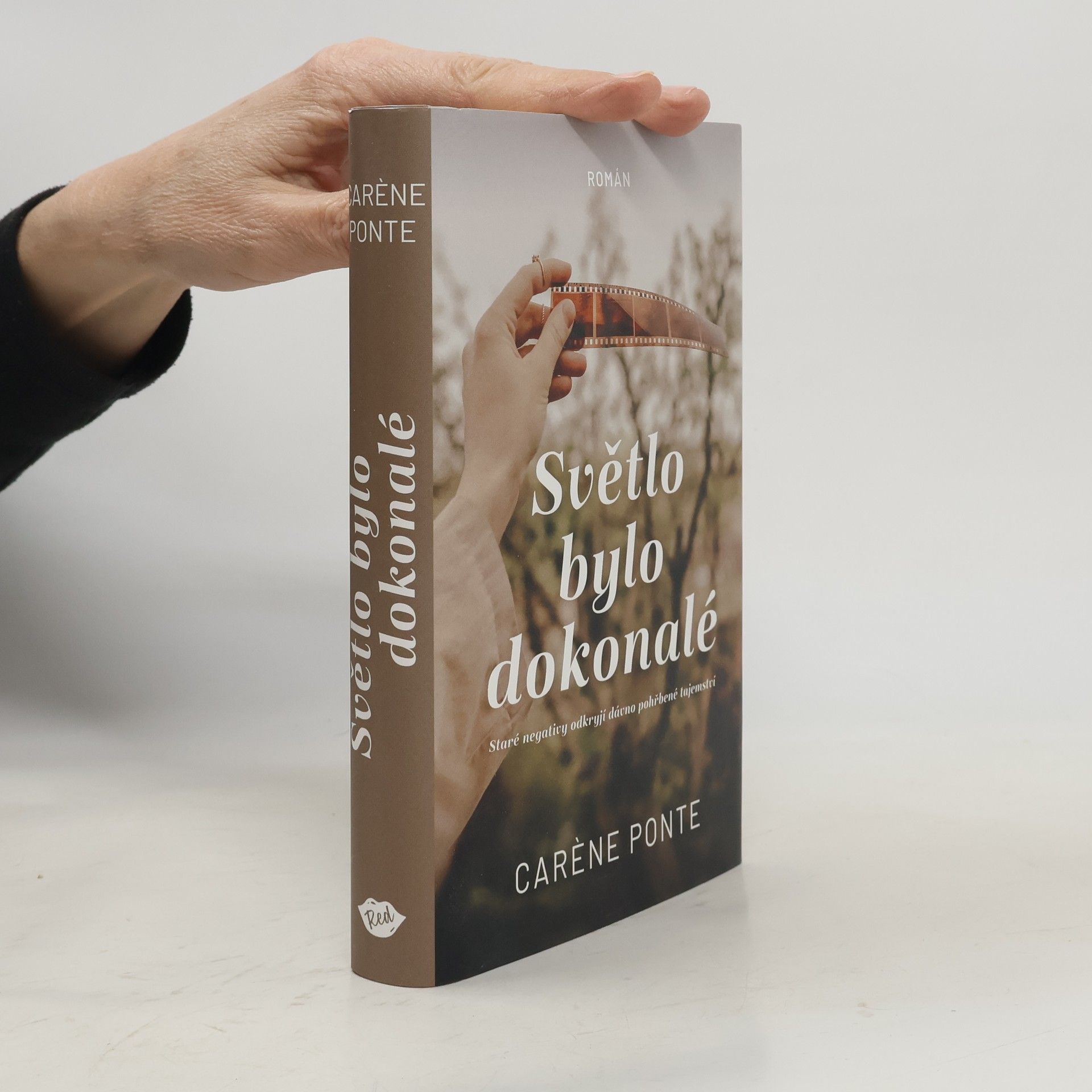 Carène Ponte Světlo bylo dokonalé