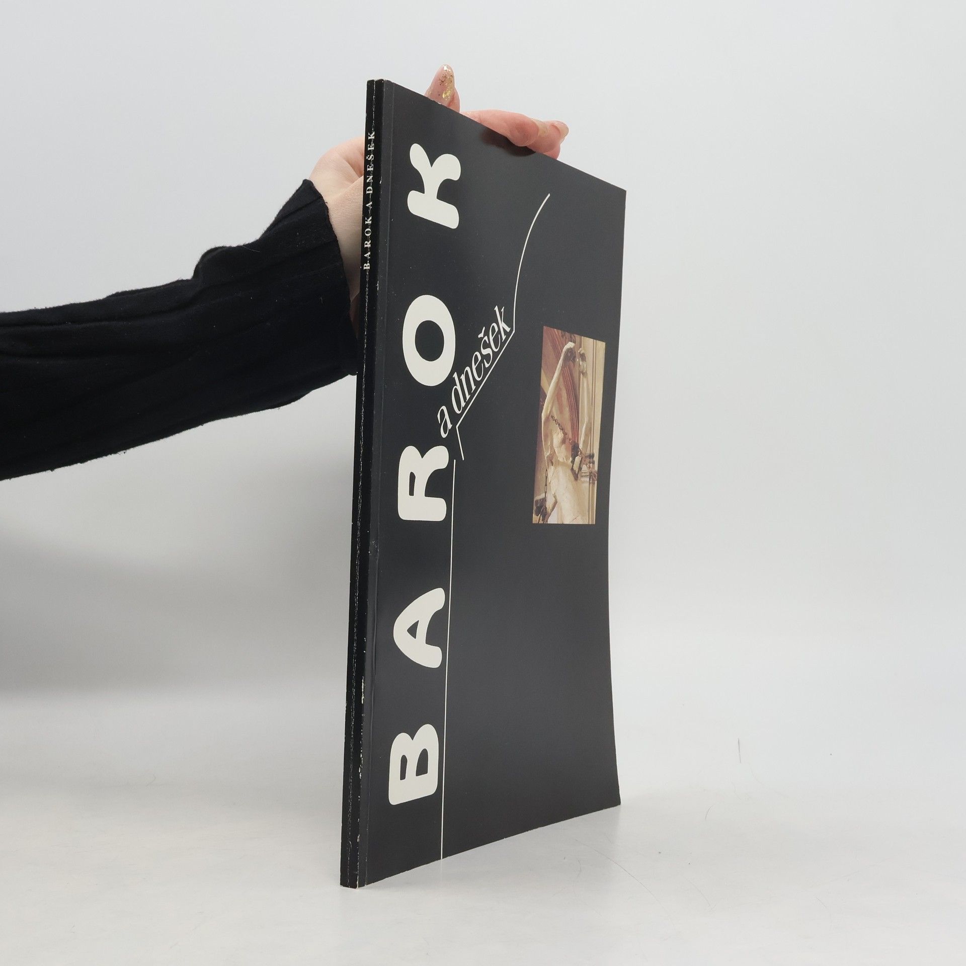 Barok a dnešek: Mezinárodní výtvarné sympozium: Litoměřice, kostel Zvěstování Panny Marie : 1992