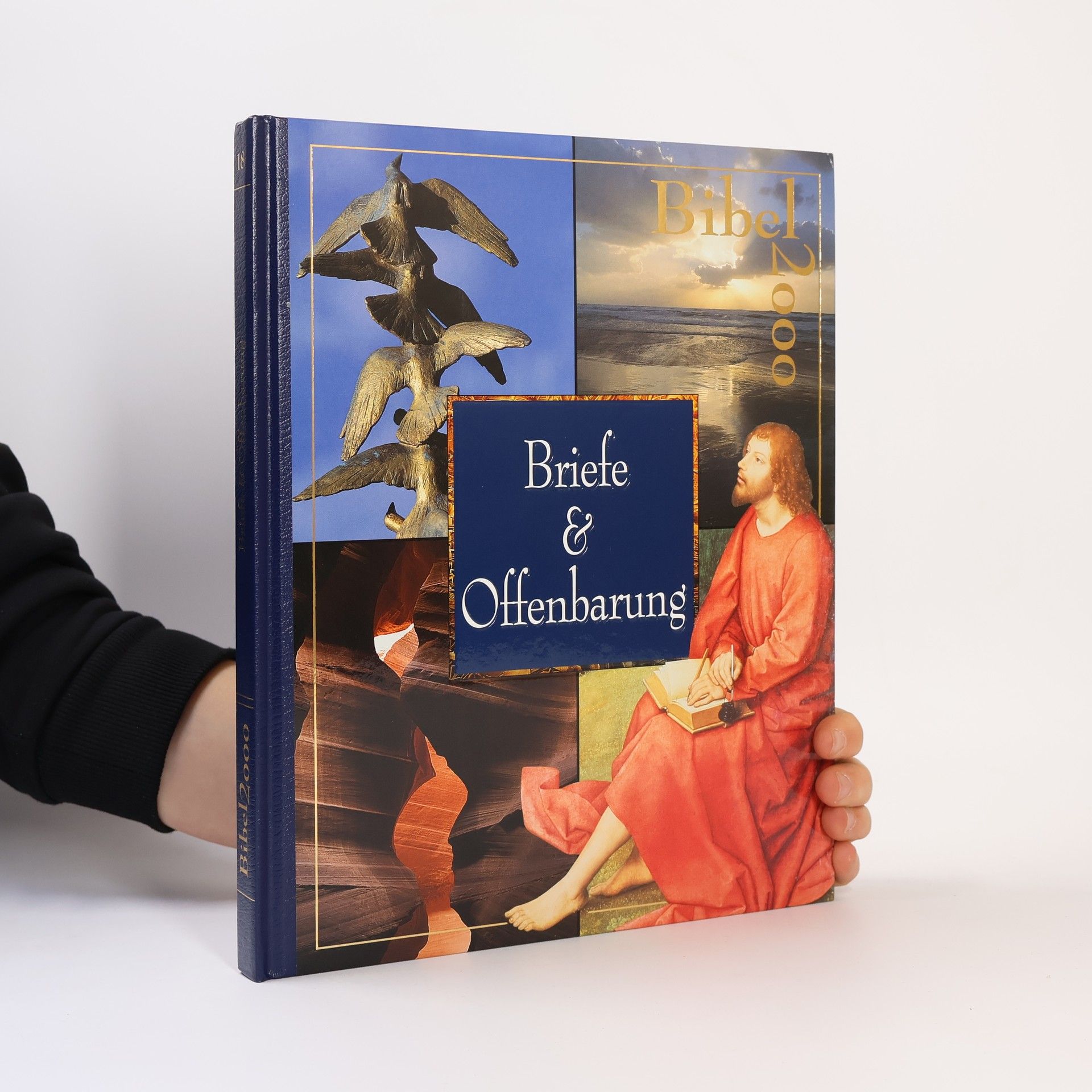kolektiv Briefe & Offenbarung. Bibel 2000