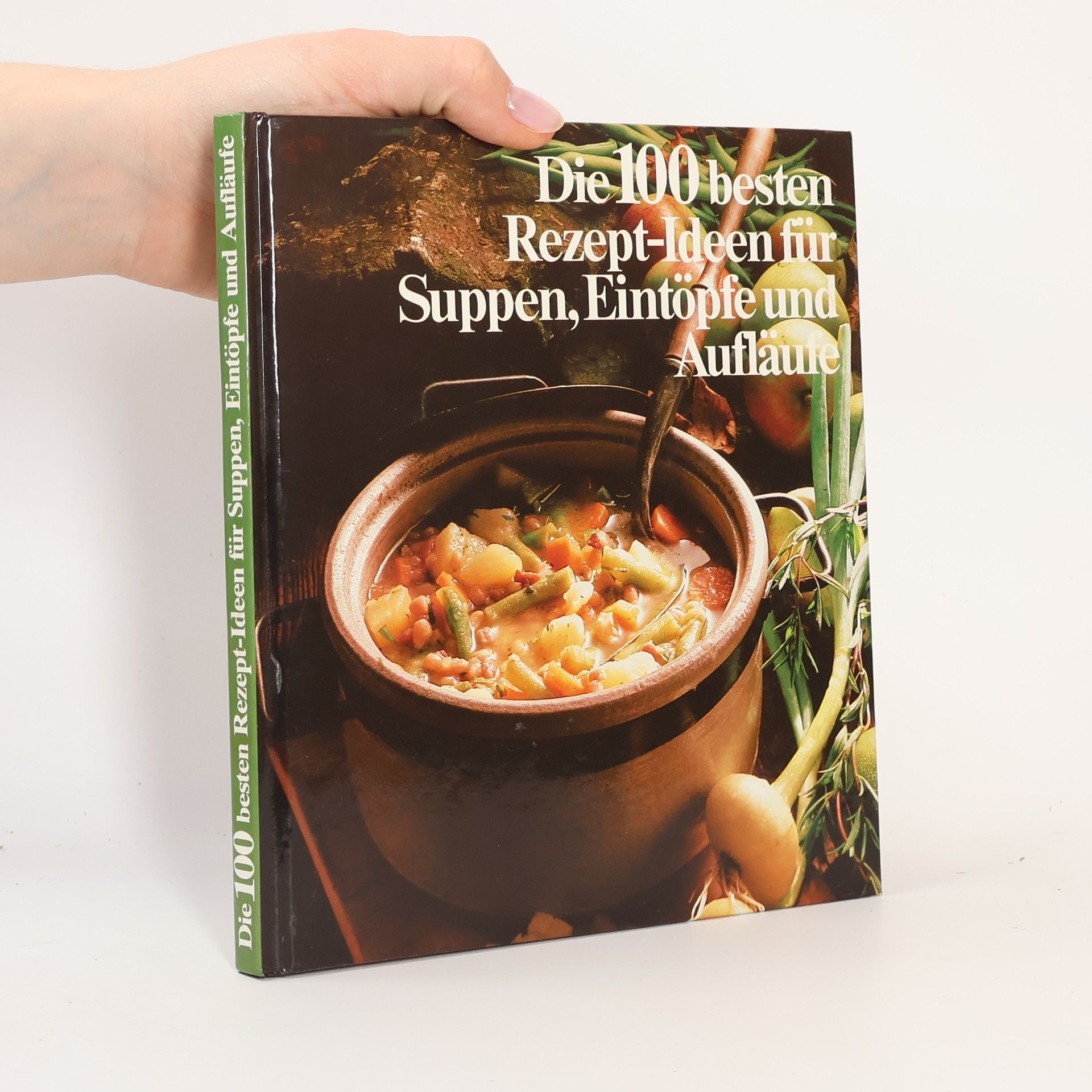 kolektiv Die 100 besten Rezept-Ideen für Suppen, Eintöpfe und Auflaure