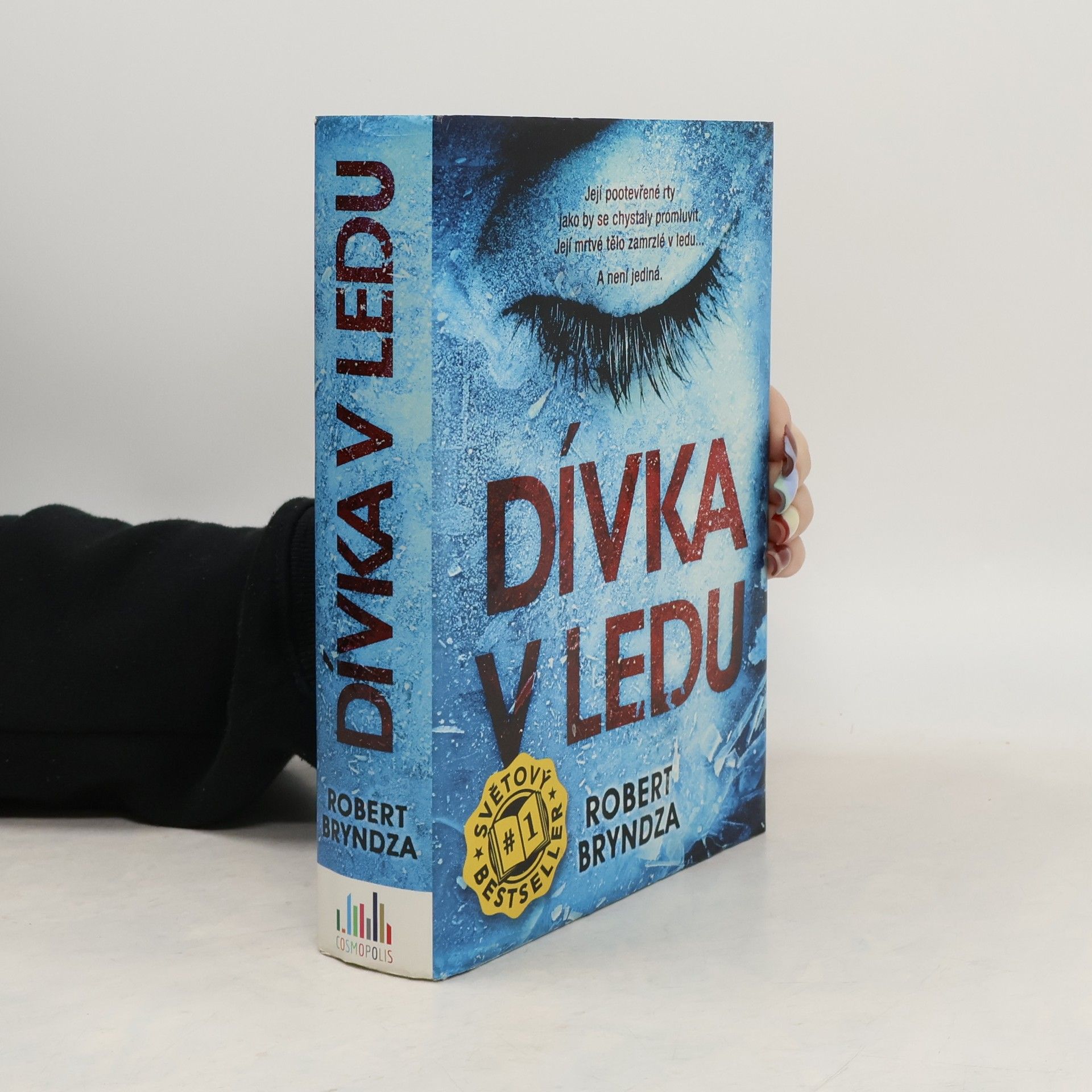 Robert Bryndza Dívka v ledu