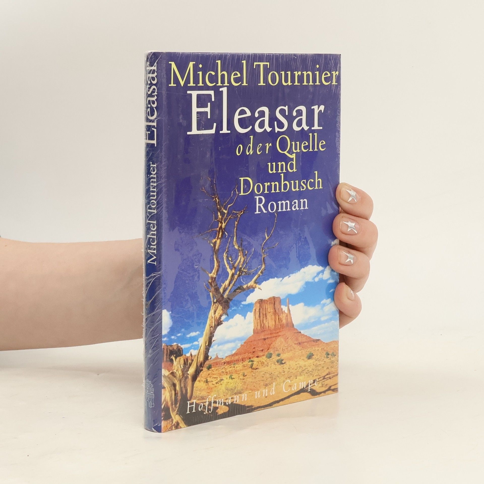 Michel Tournier Eleasar oder Quelle und Dornbusch