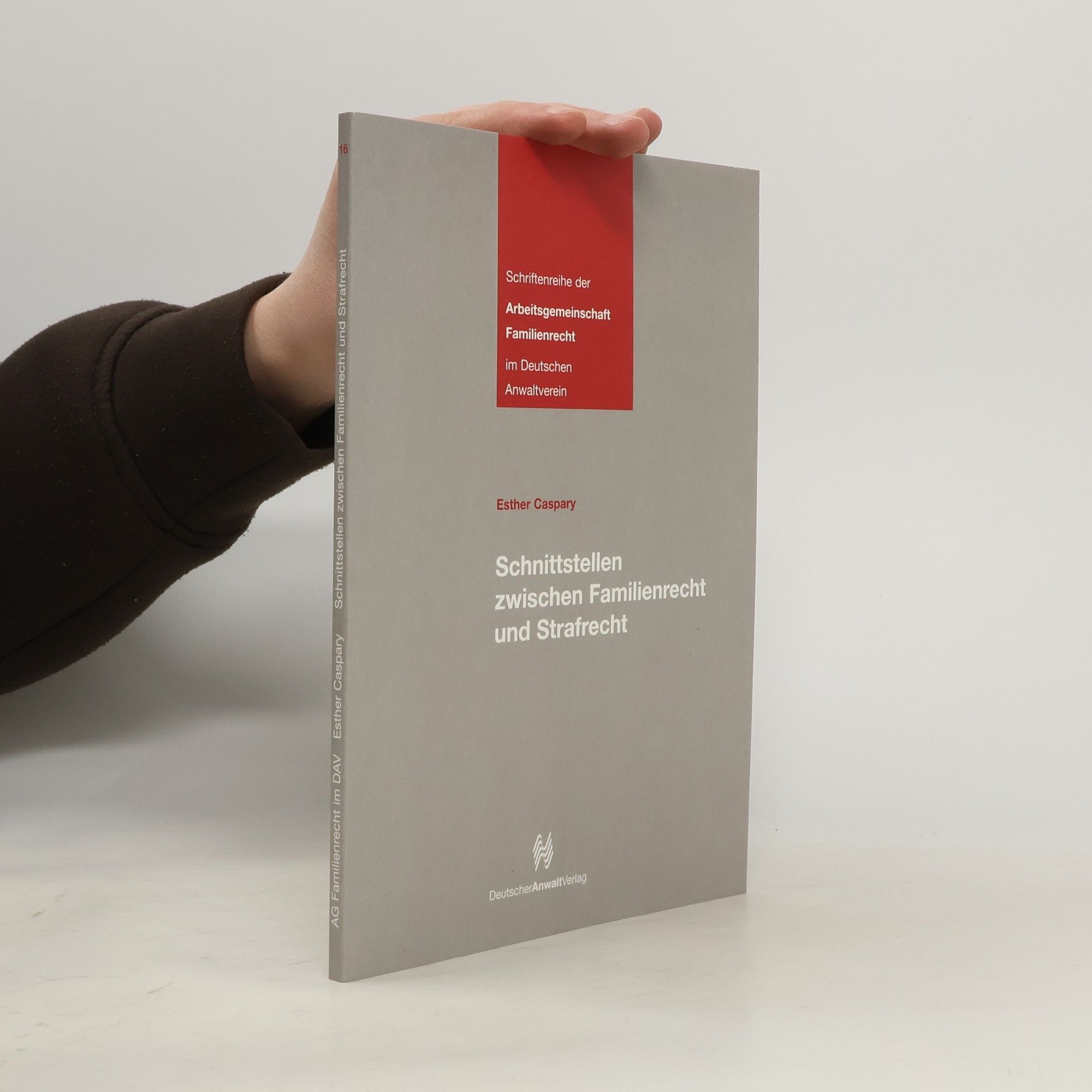 Esther Caspary Schnittstellen zwischen Familienreich