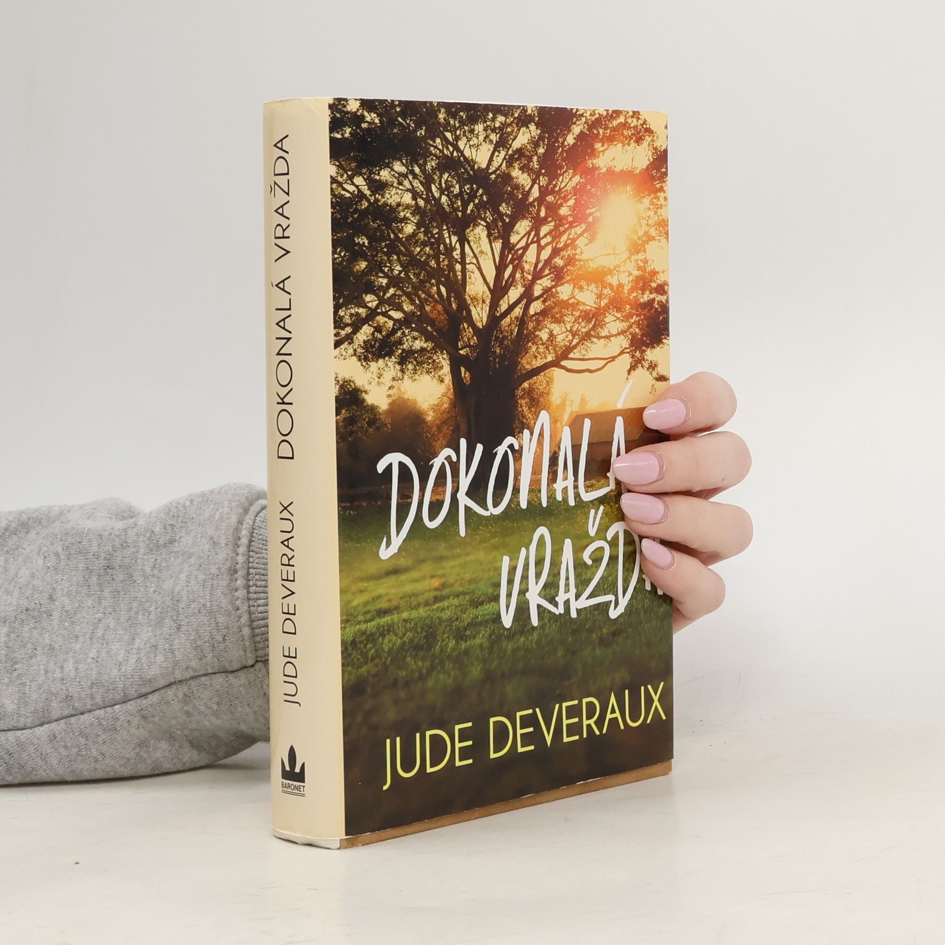 Jude Deveraux Dokonalá vražda