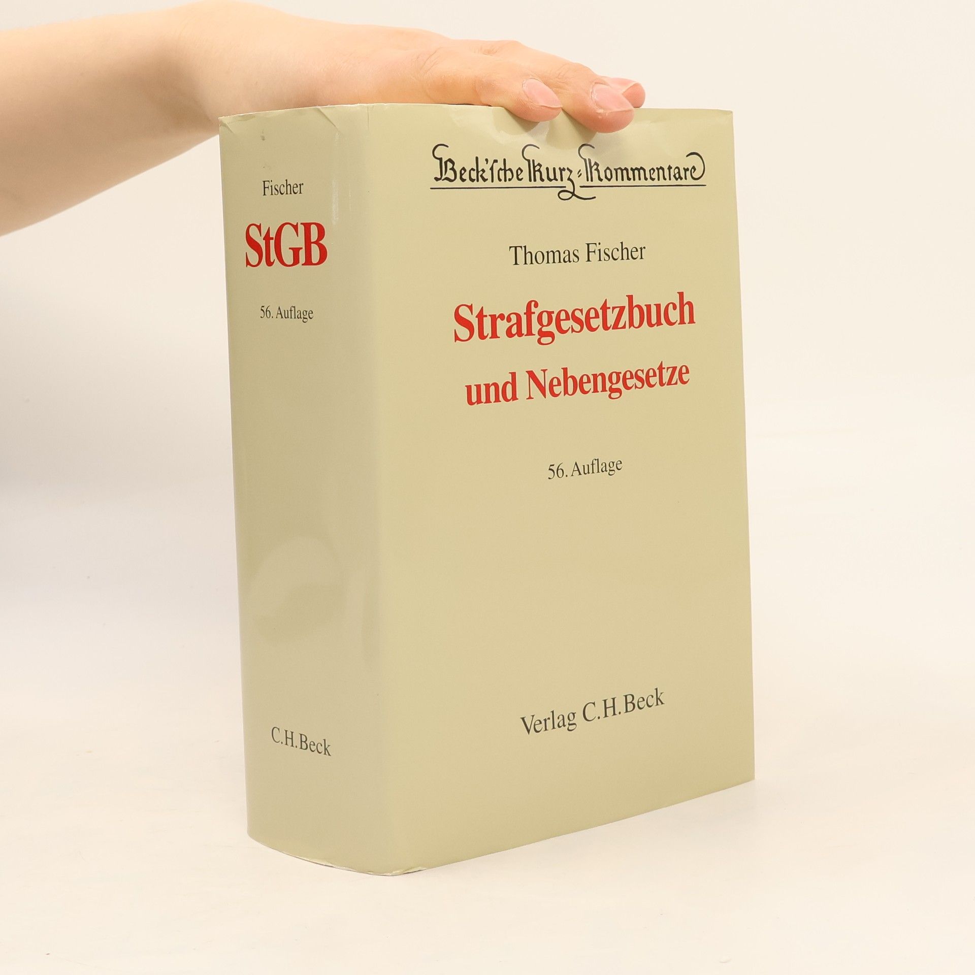 Strafgesetzbuch und Nebengesetze