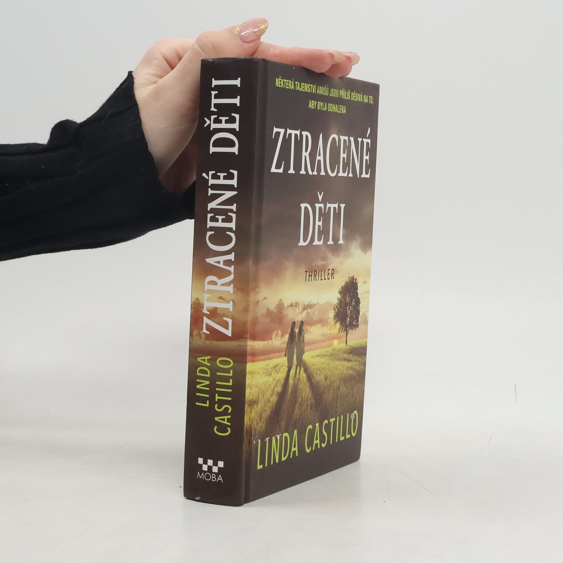 Linda Castillo Ztracené děti