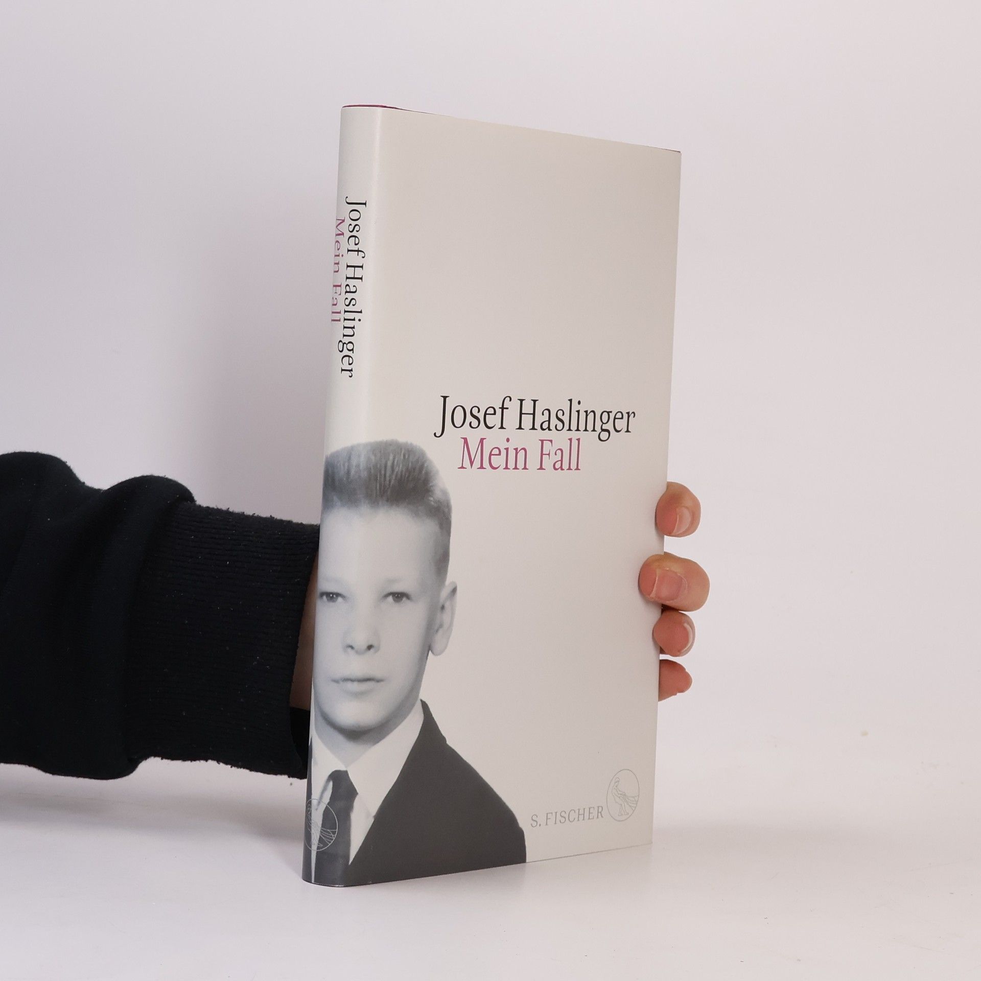 Josef Haslinger Mein Fall