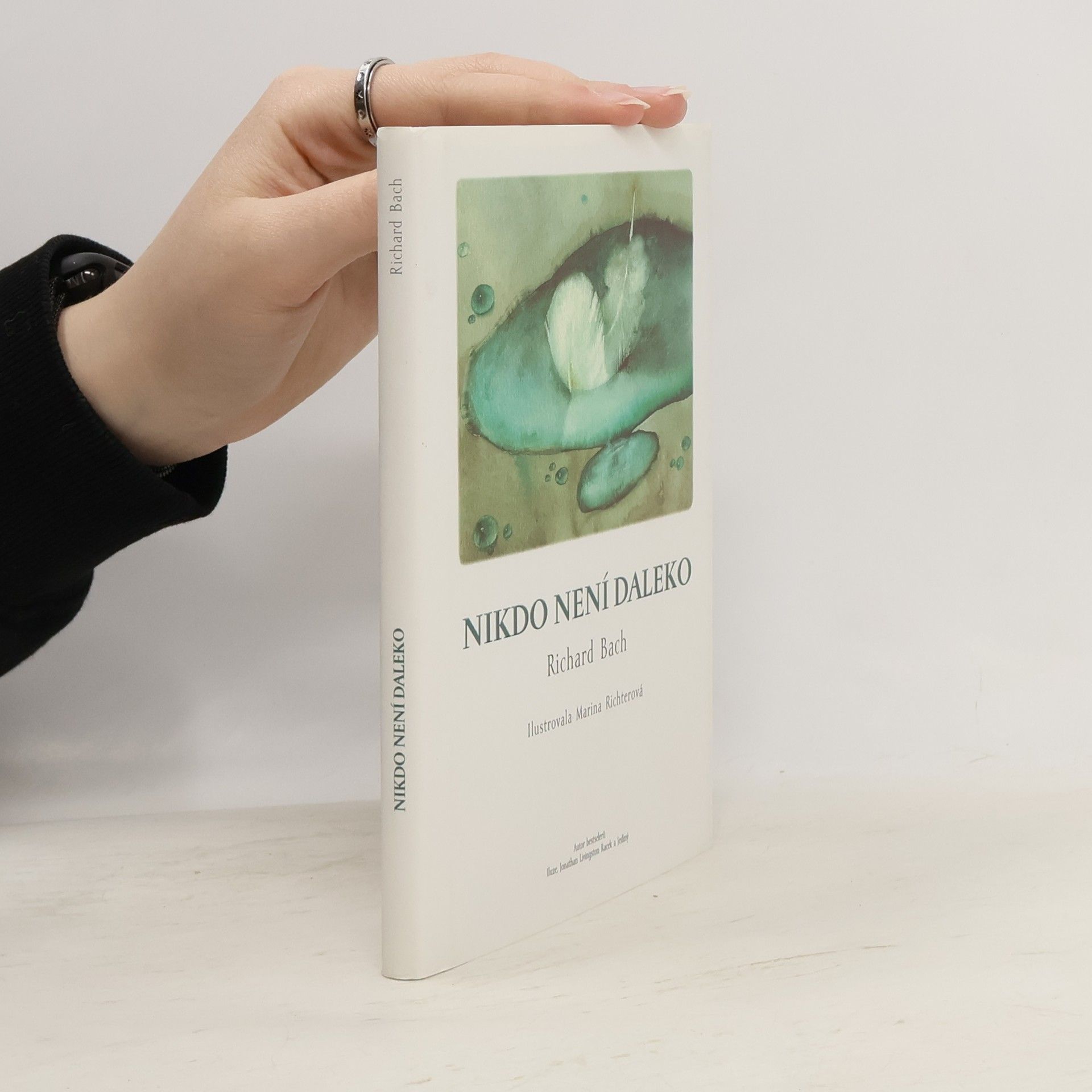 Richard Bach Nikdo není daleko