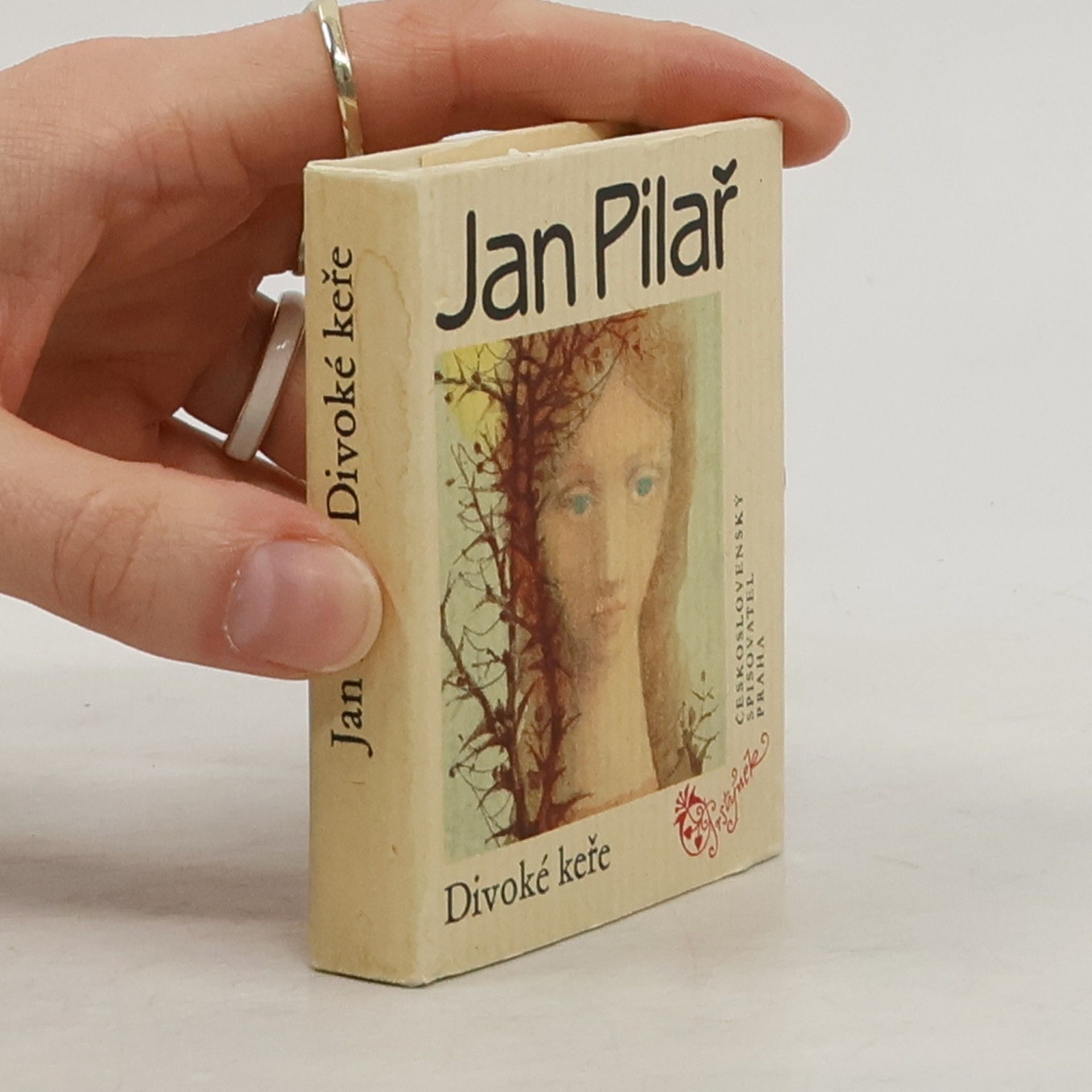 Jan Pilař Divoké keře