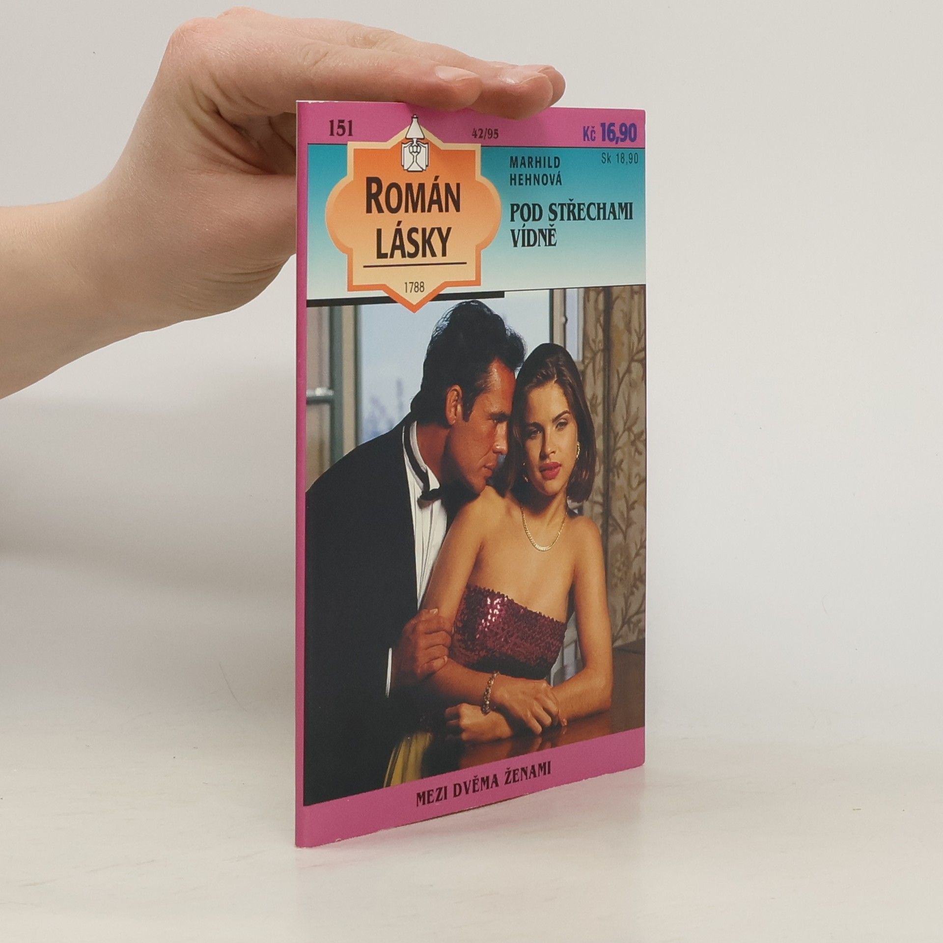 Marhild Hehn Pod střechami Vídně