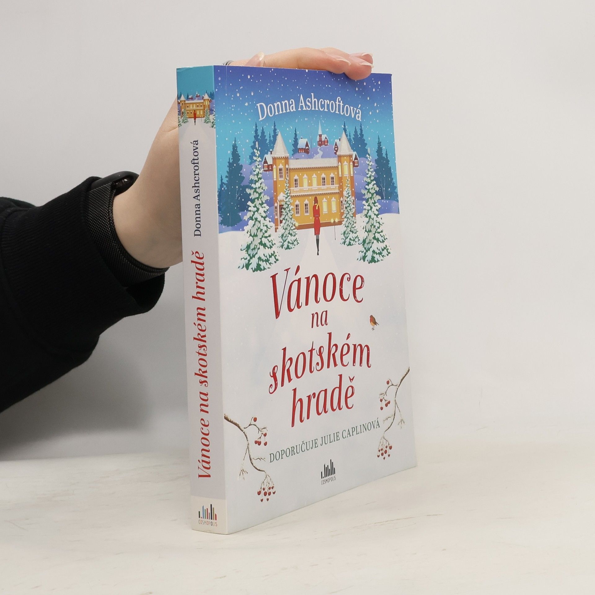 Donna Ashcroft Vánoce na skotském hradě