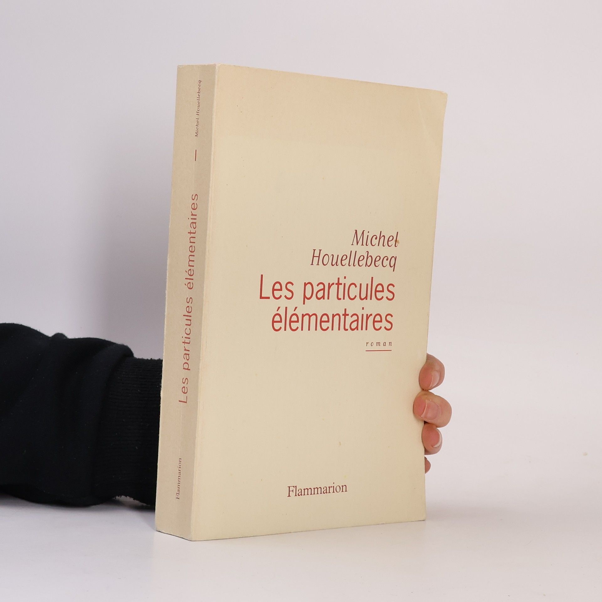 Michel Houellebecq Les Particules élémentaires