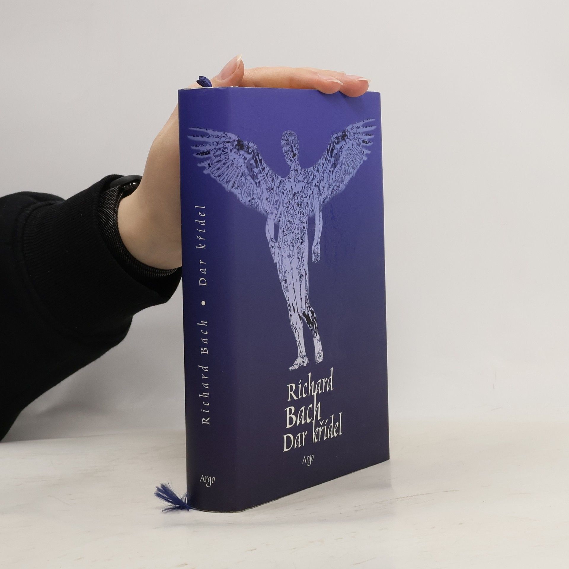 Richard Bach Dar křídel
