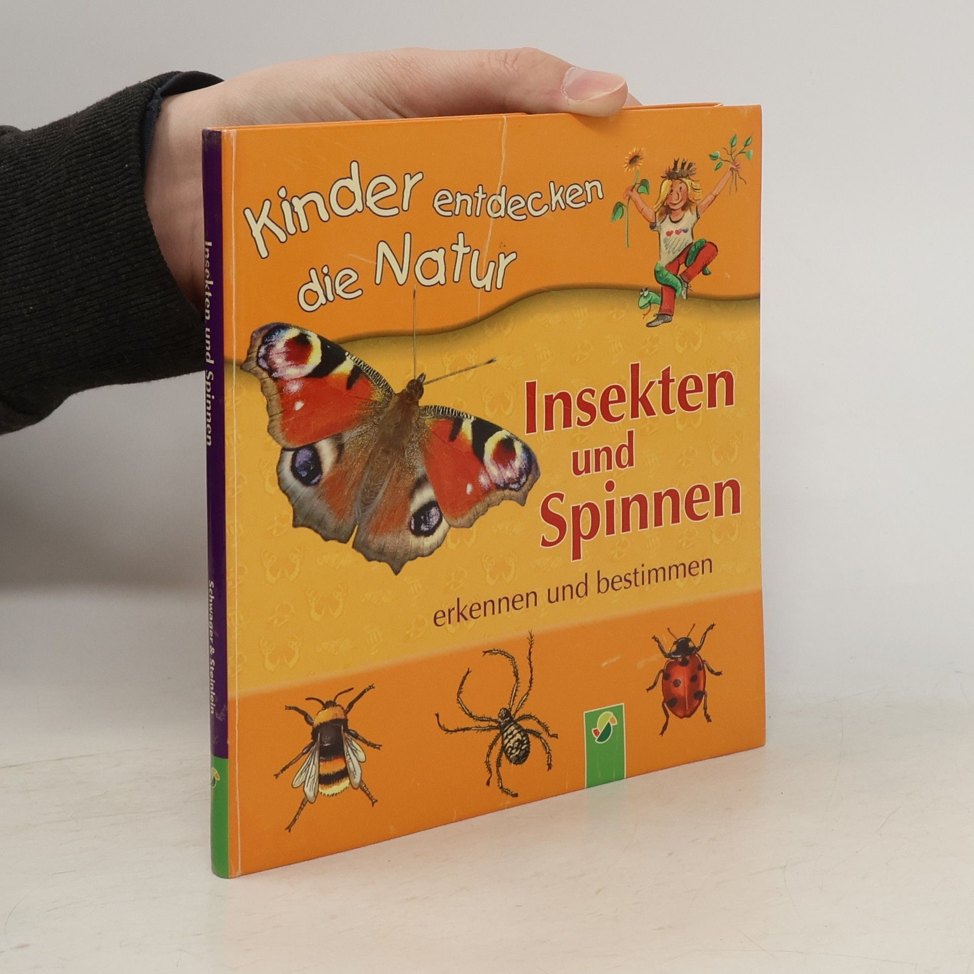 Kinder entdecken die Natur: Insekten und Spinnen erkennen und bestimmen