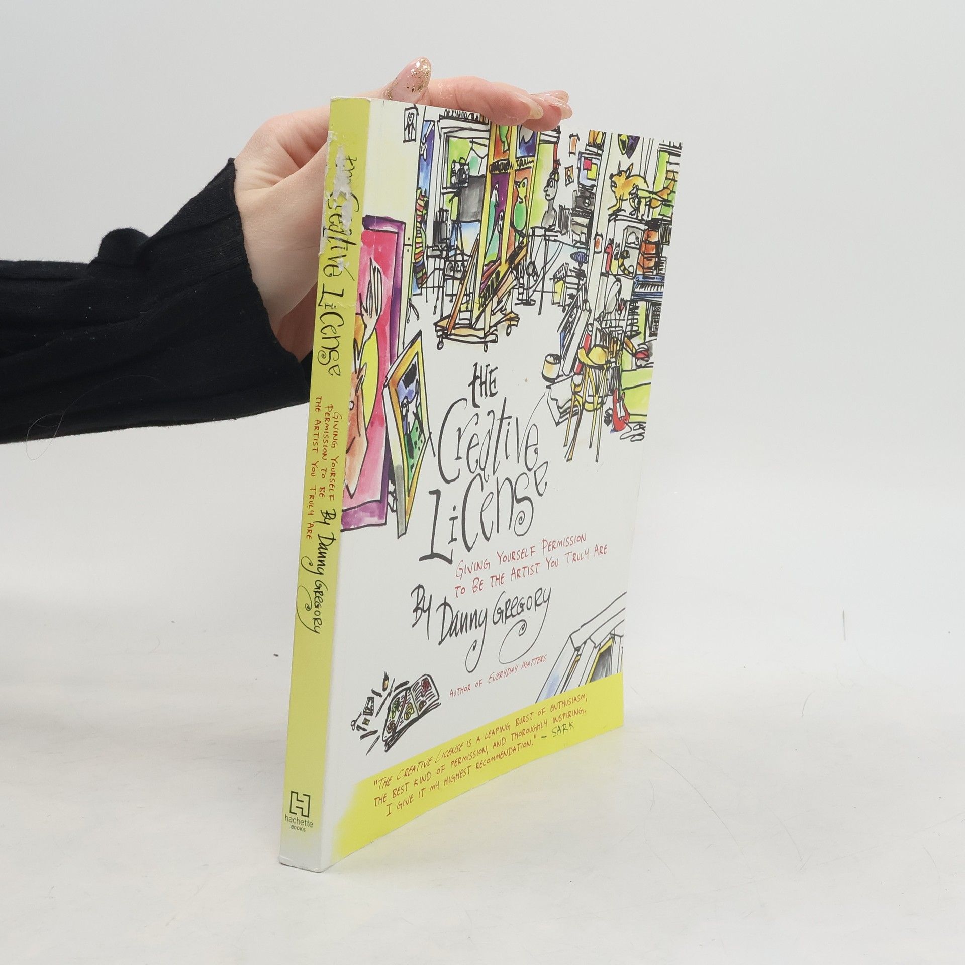 Danny Gregory The Creative License