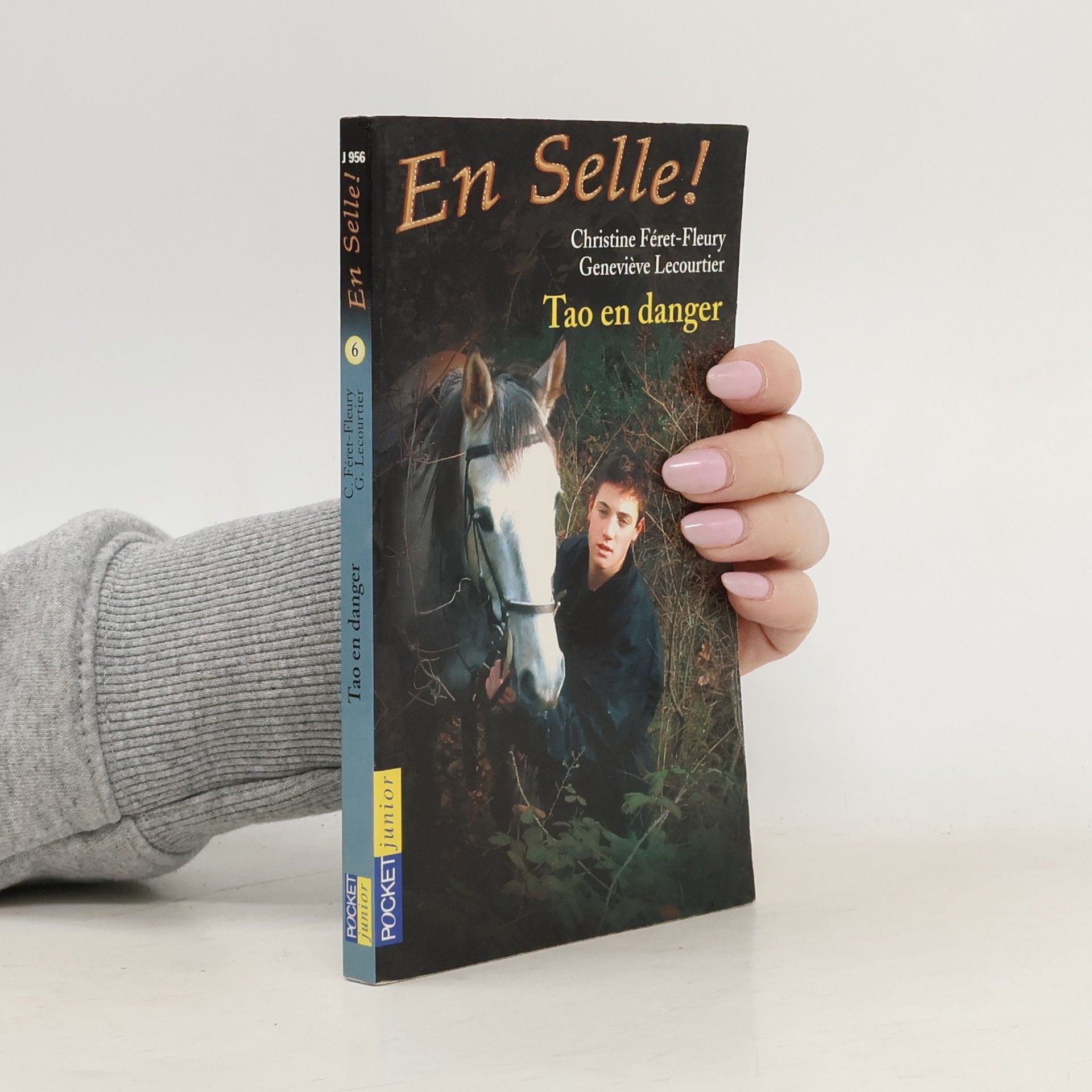 En Selle! - 6: Tao en danger