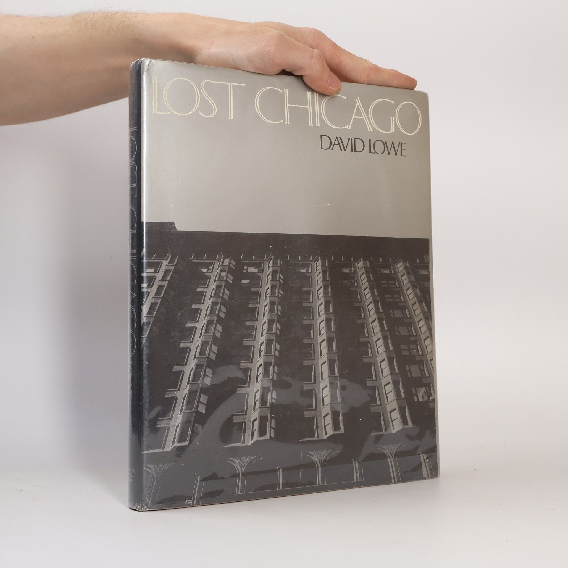 David Garrard Lowe Lost Chicago