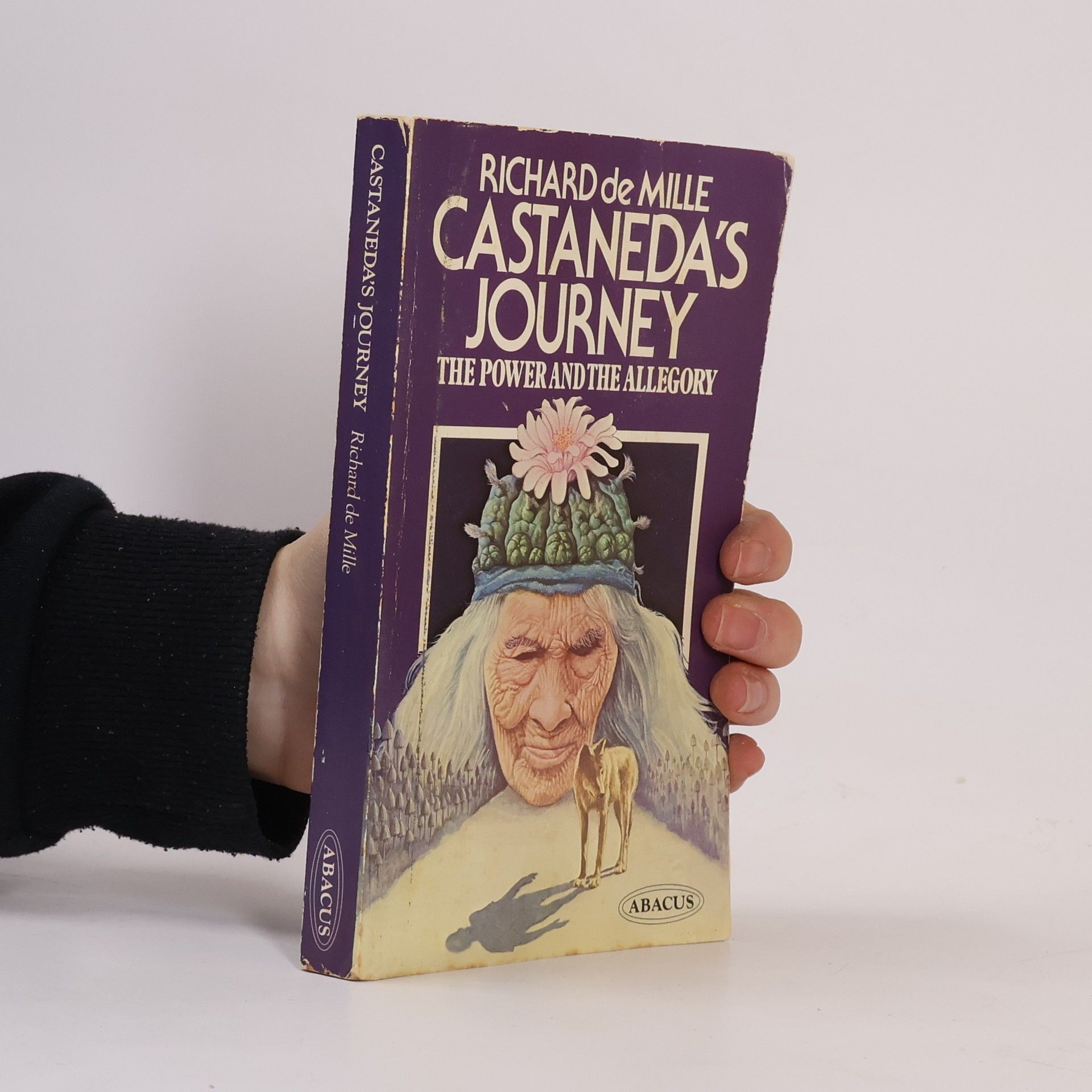 Richard de Mille Castaneda's Journey