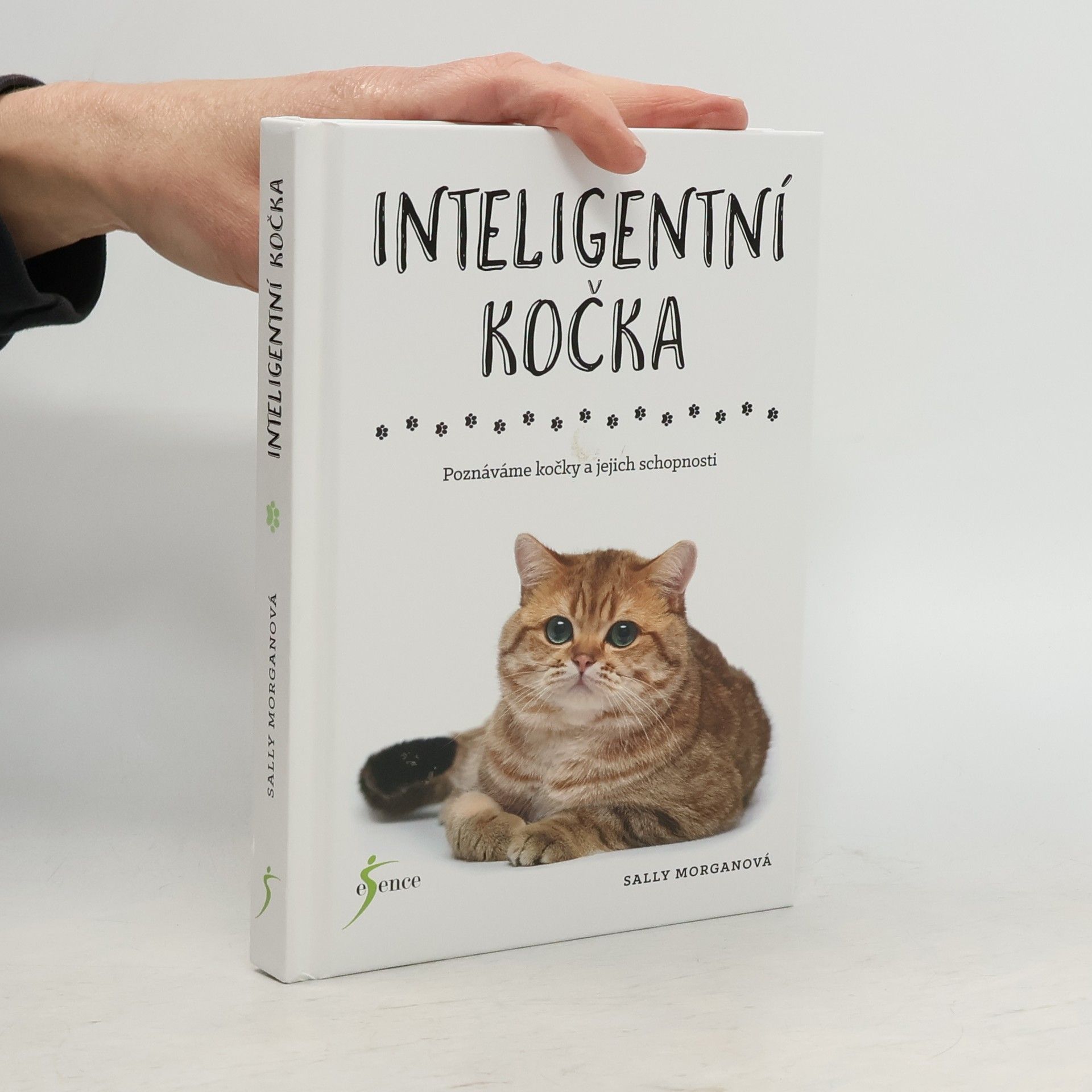 Sally Morgan Inteligentní kočka : poznáváme kočky a jejich schopnosti