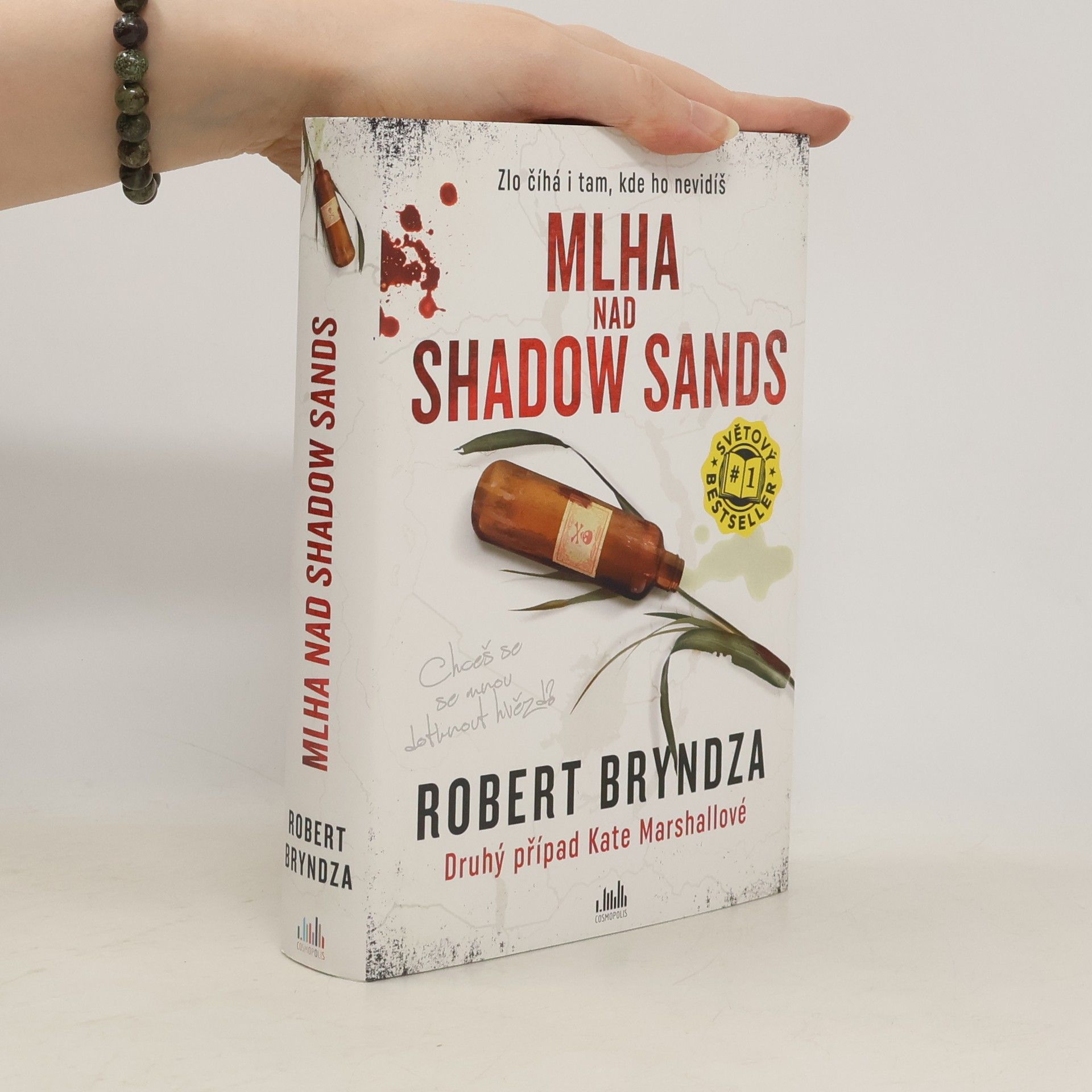 Robert Bryndza Mlha nad Shadow Sands