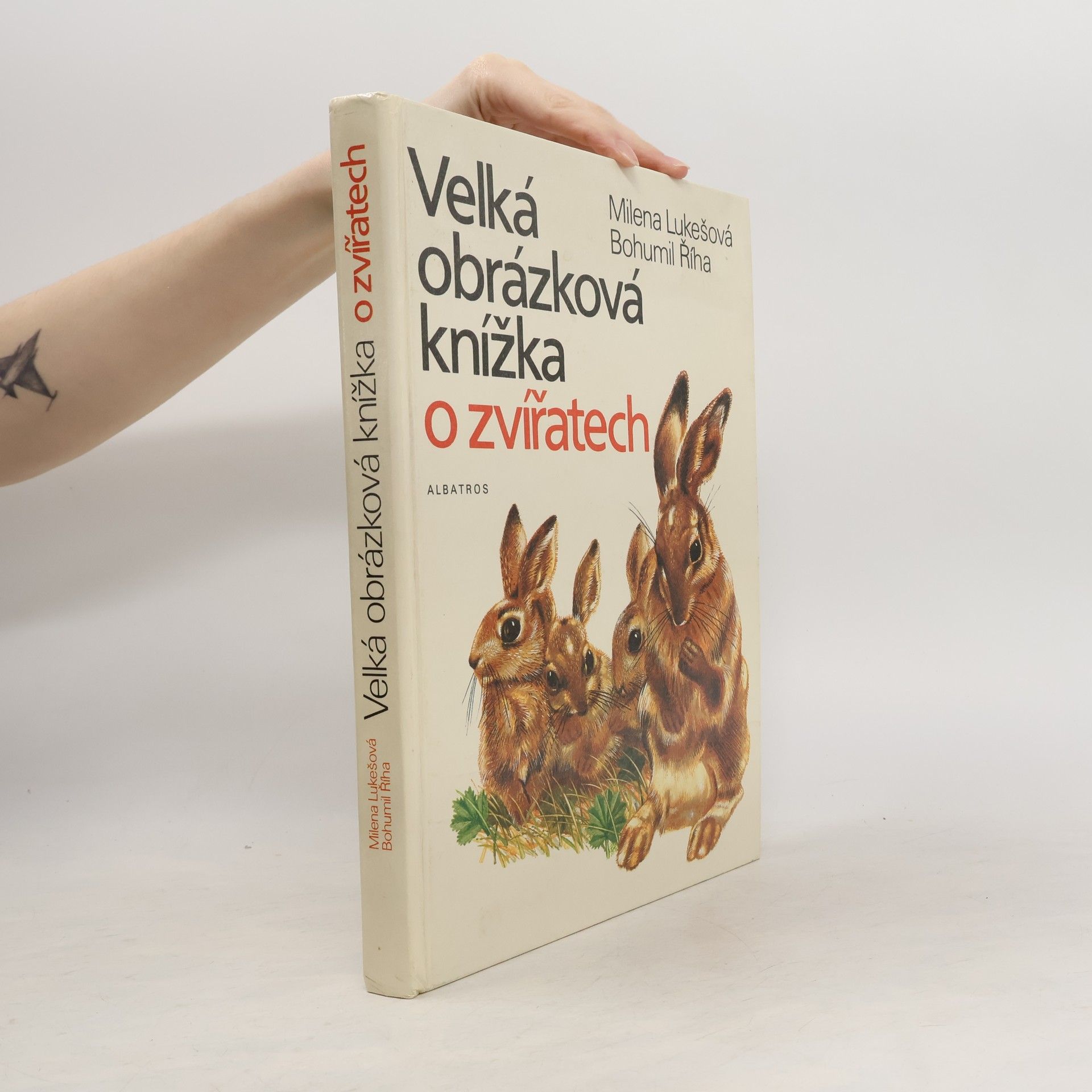 Velká obrázková knížka o zvířatech