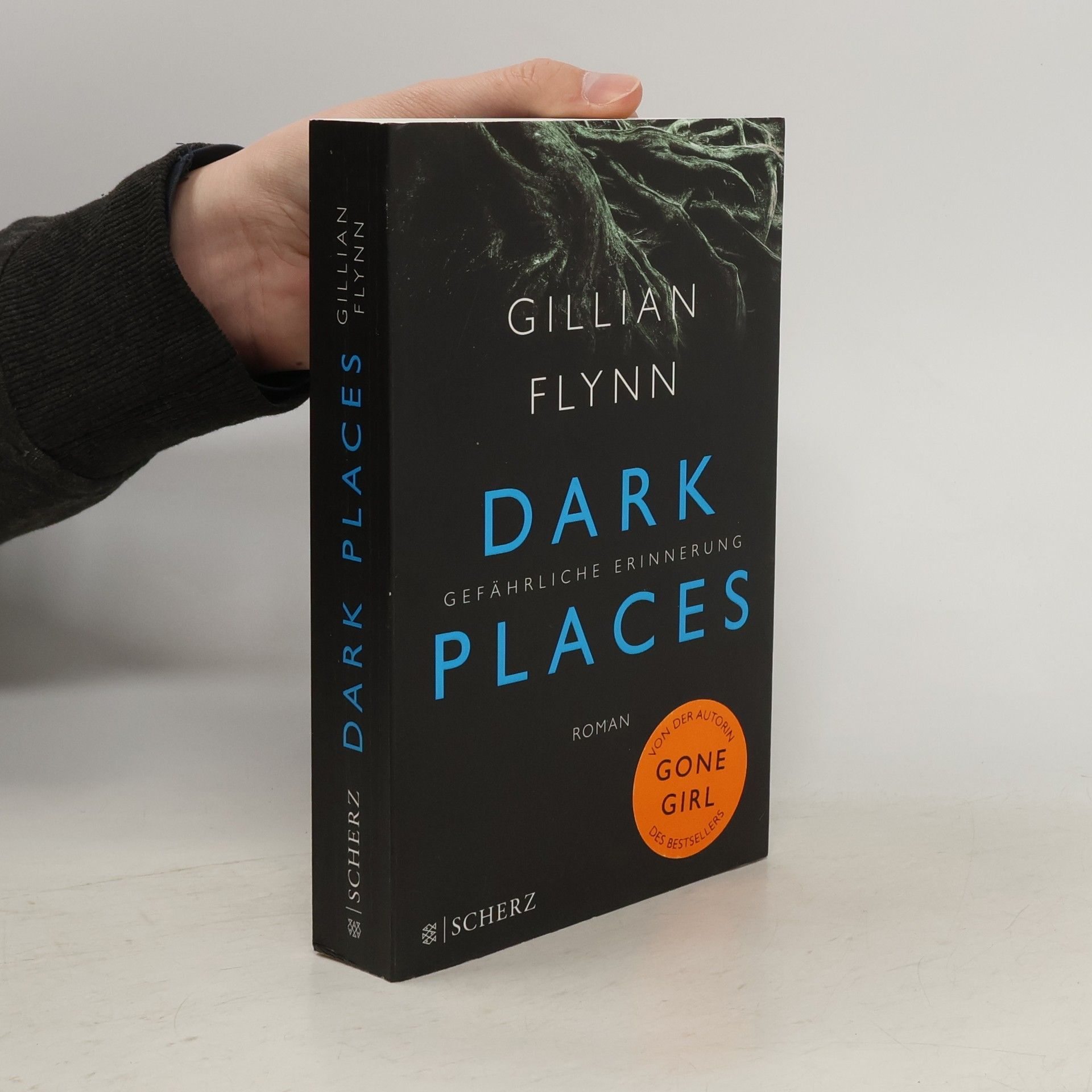Gillian Flynn Dark places