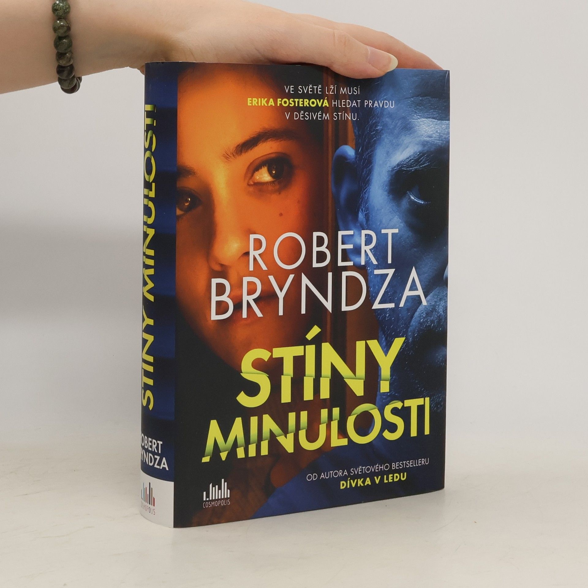 Robert Bryndza Stíny minulosti