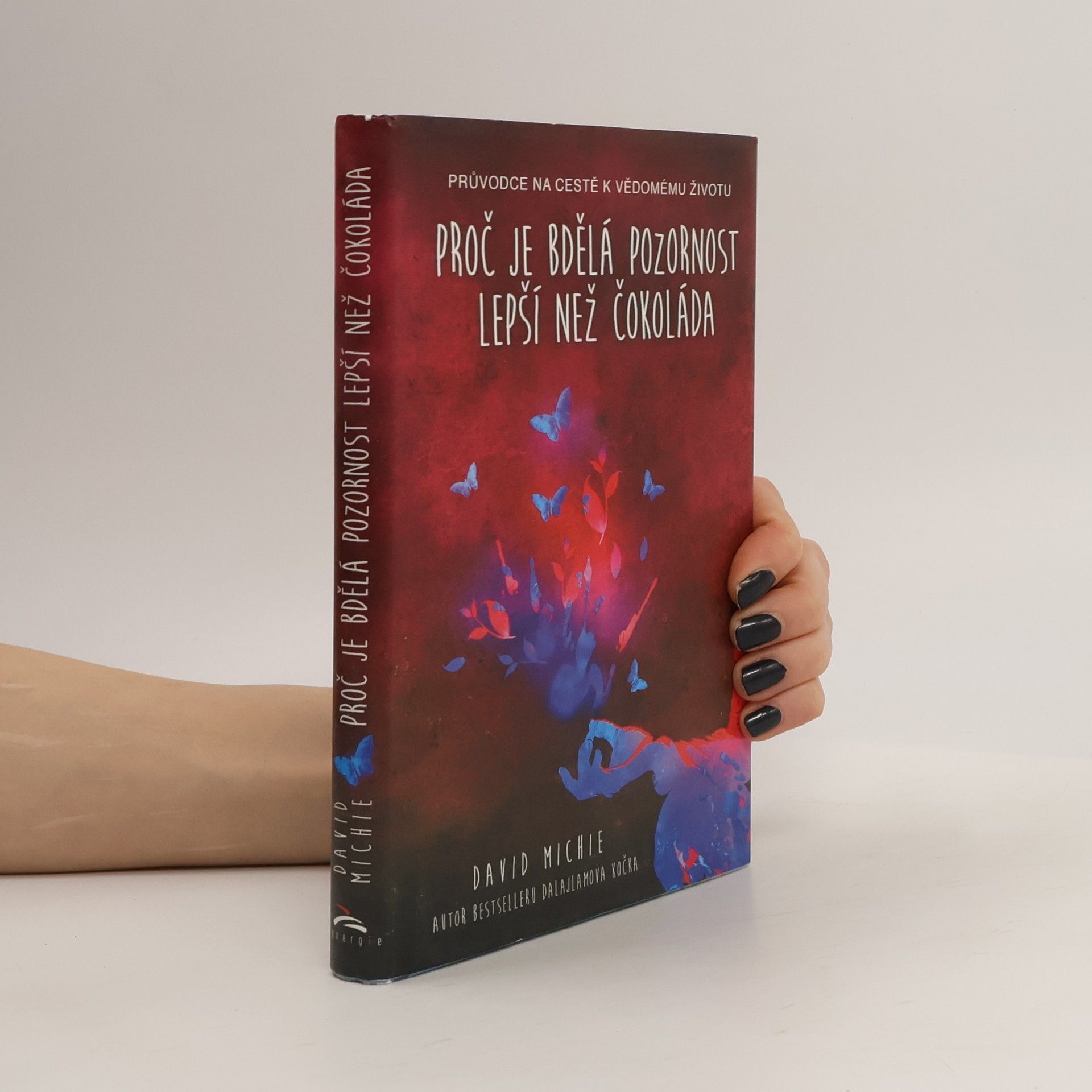 David Michie Proč je bdělá pozornost lepší než čokoláda