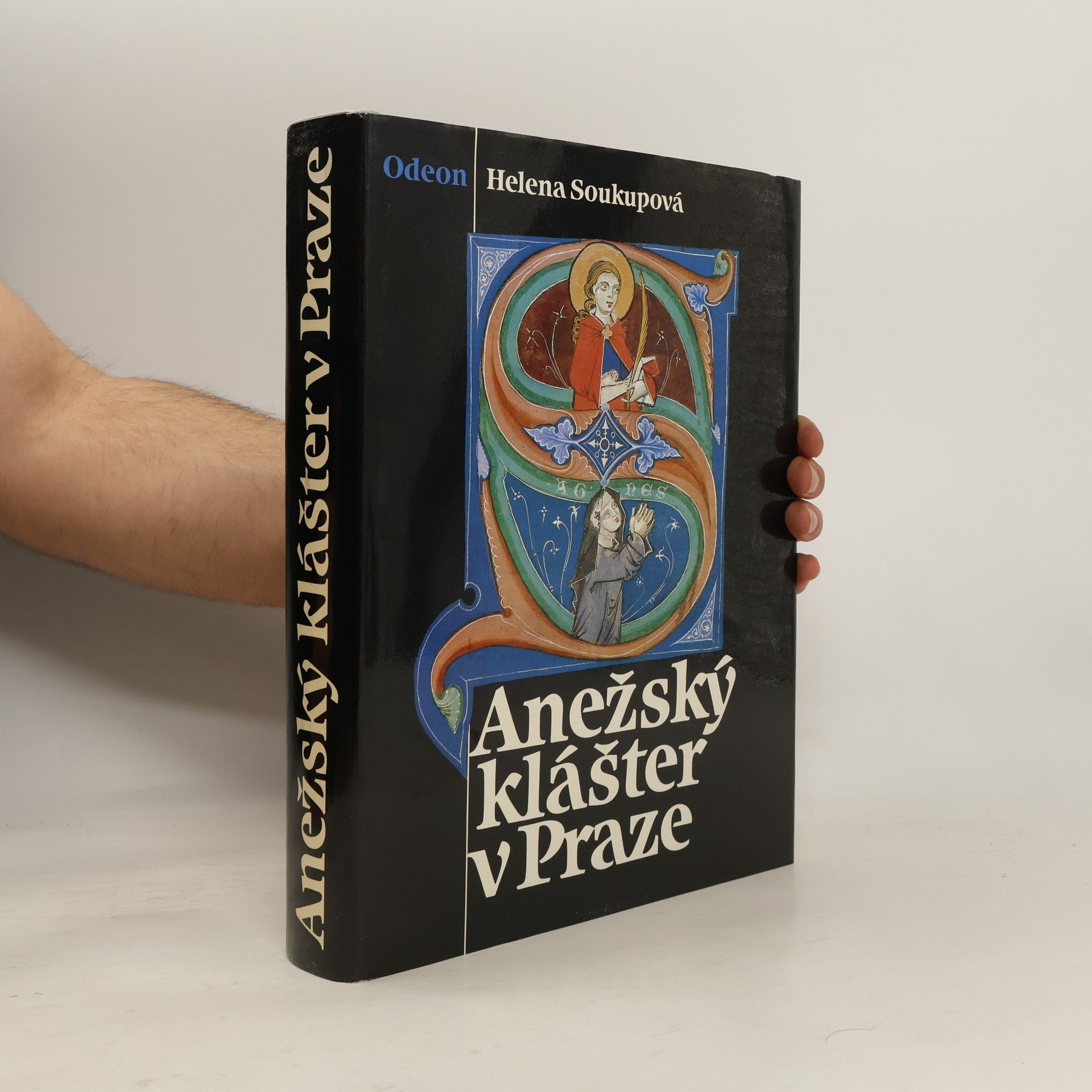 Helena Soukupová Anežský klášter v Praze
