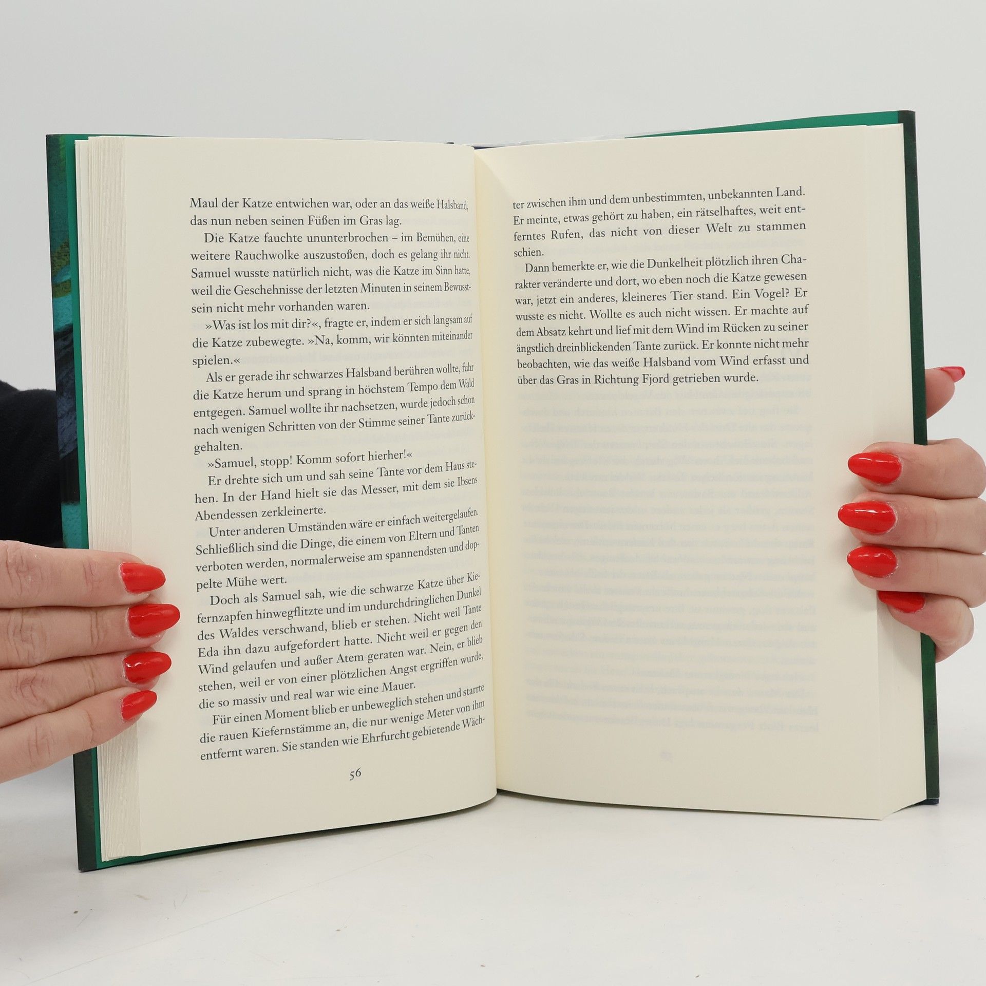 Matt Haig Im Schattenwald