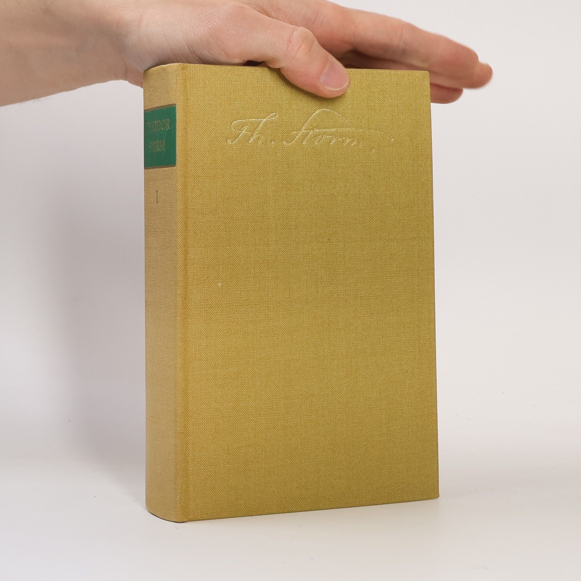 Theodor Storm Gedichte Märchen Novellen 1