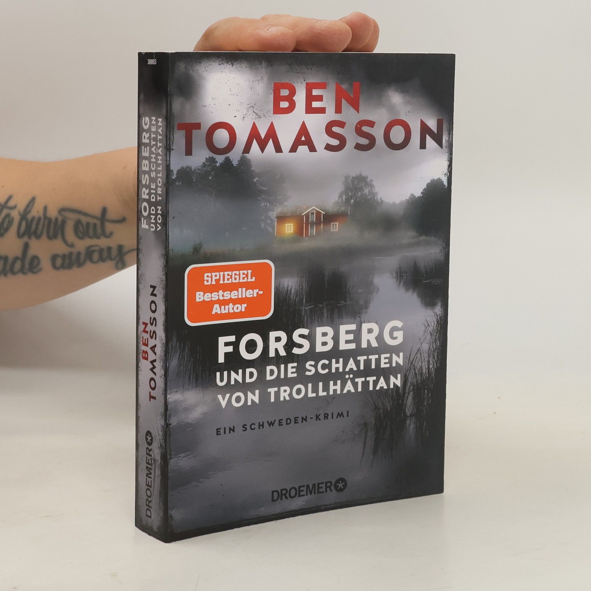 Ben Tomasson Forsberg und die Schatten von Trollhättan / Frederik Forsberg Bd.4