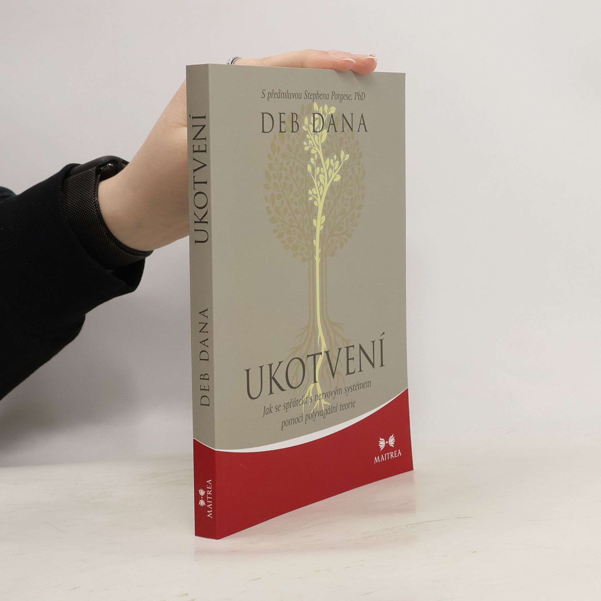 Zdeněk Böhm Ukotvení. Jak se spřátelit s nervovým systémem pomocí polyvagální teorie